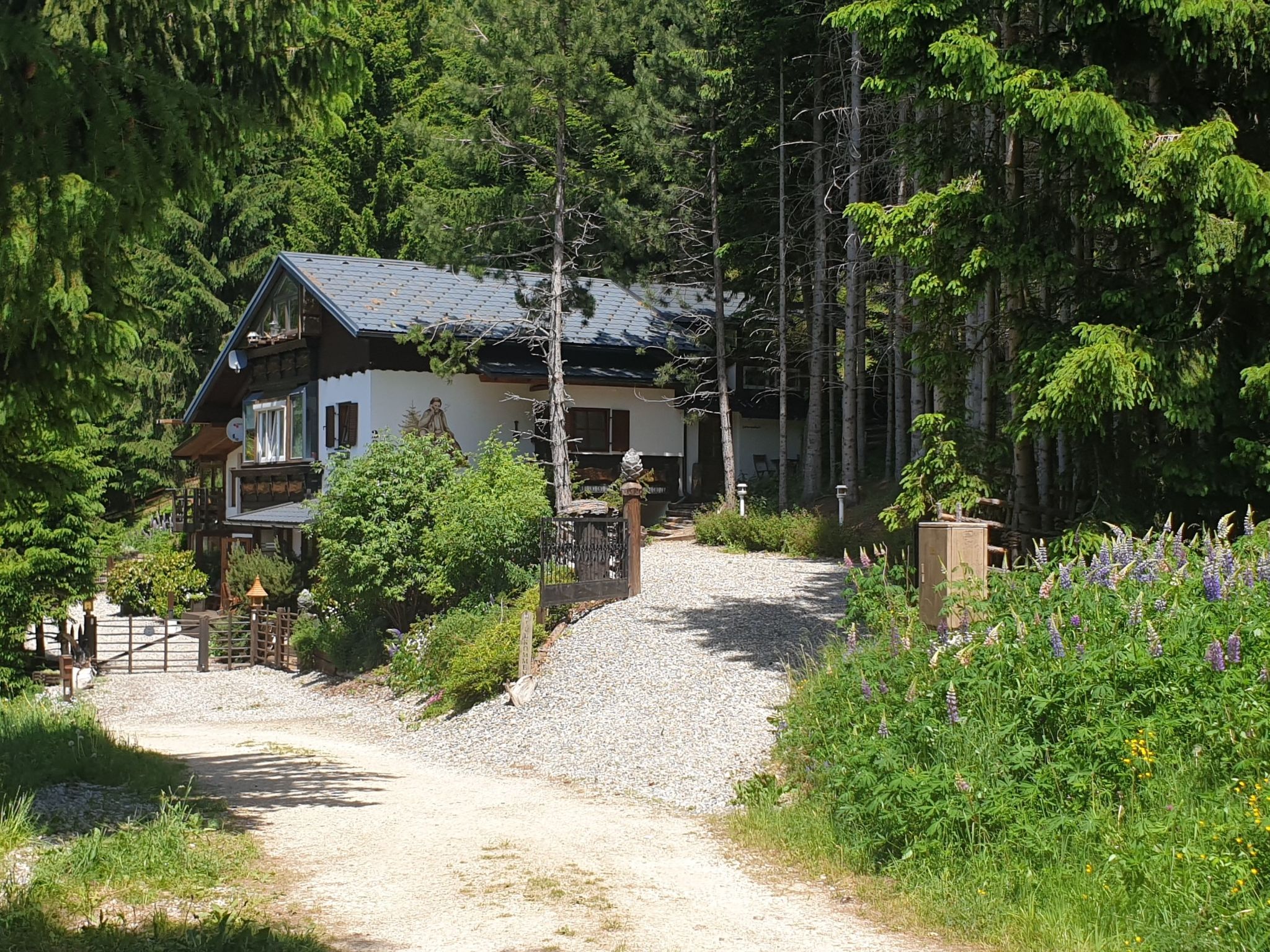 Alm´Ferienhaus Gaisegg am Klippitztörl
