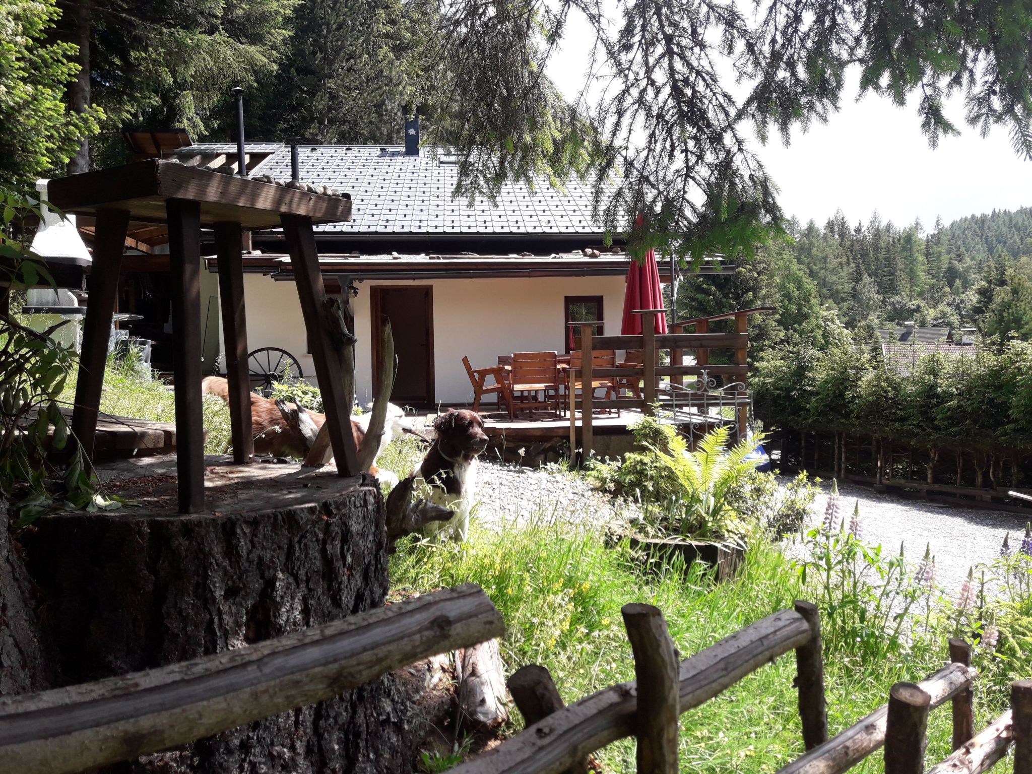 Alm´Ferienhaus Gaisegg am Klippitztörl-Image-tags.info