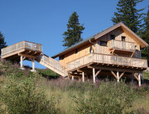 Chalet Klippitzrose: Vrijstaand aan de piste op 1600m hoogte - thumbnail 1