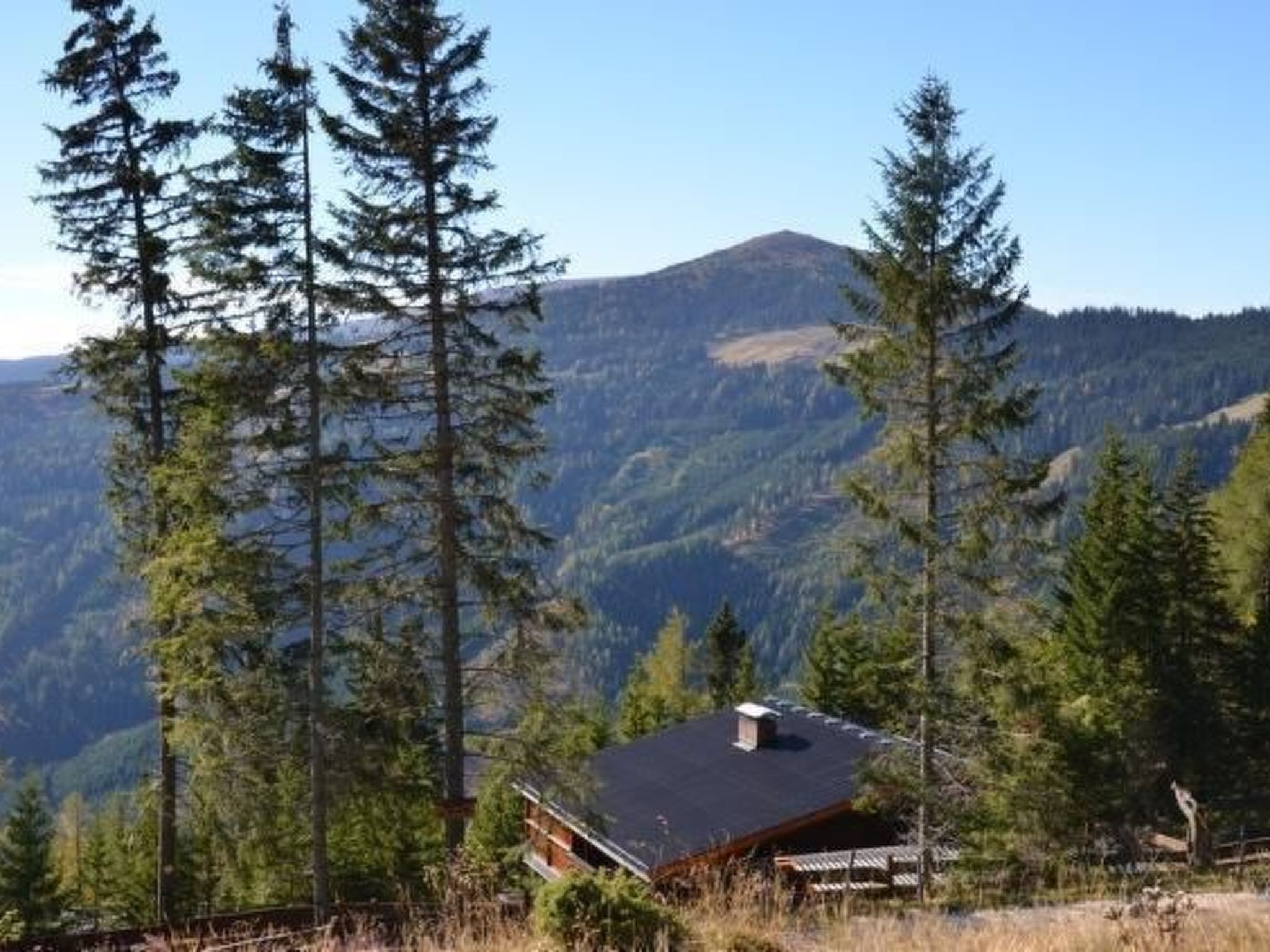Almhaus am Hohenwart-Binnen