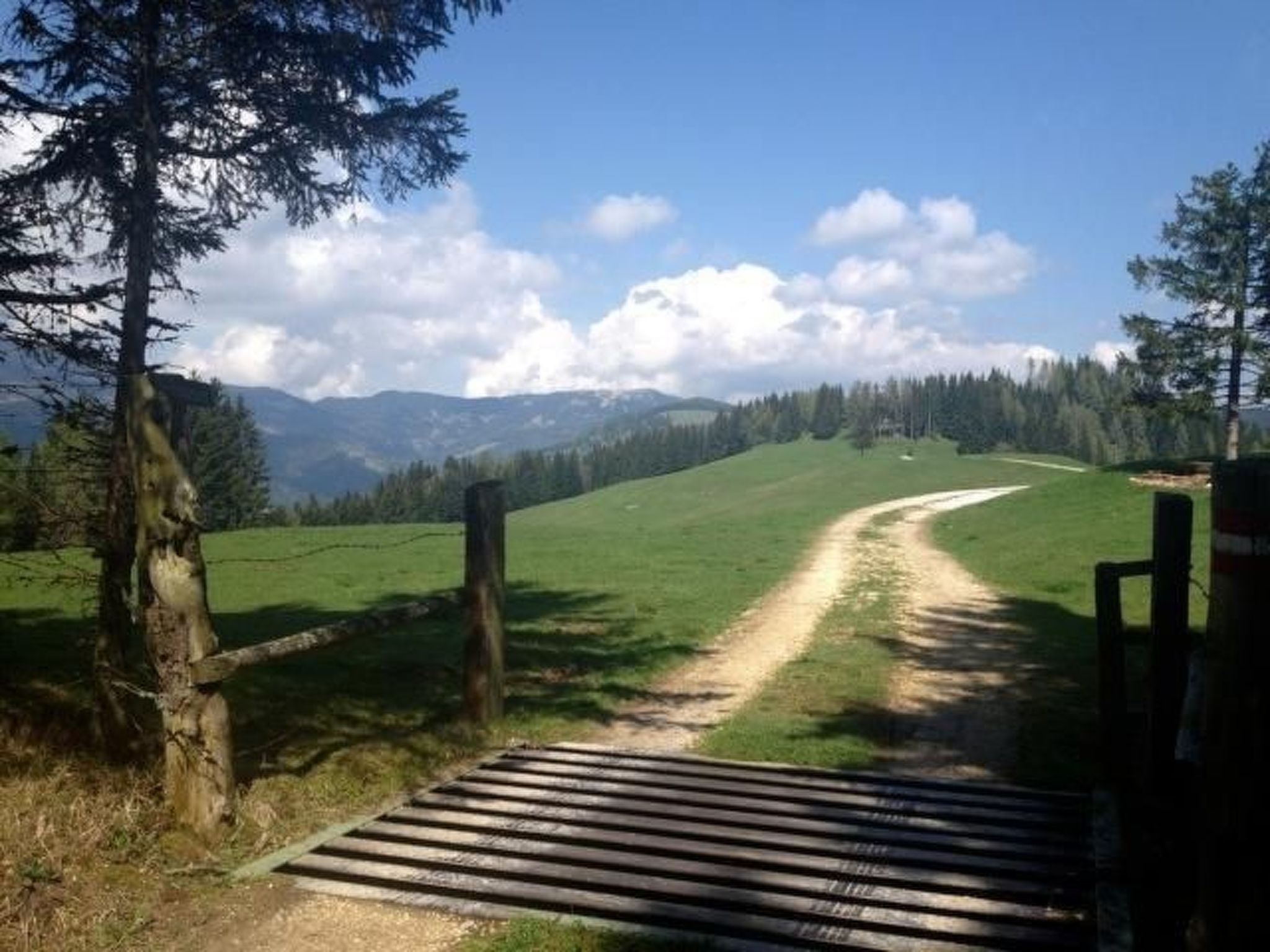 Almhaus am Hohenwart-Binnen