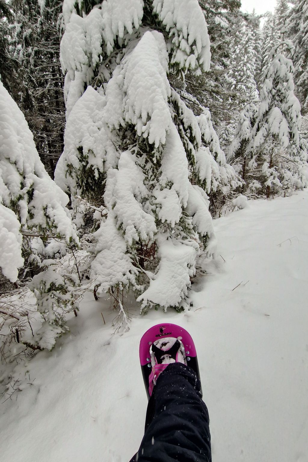 Knusperhäuschen Maria Nikolett in Wolfsberg-Binnen