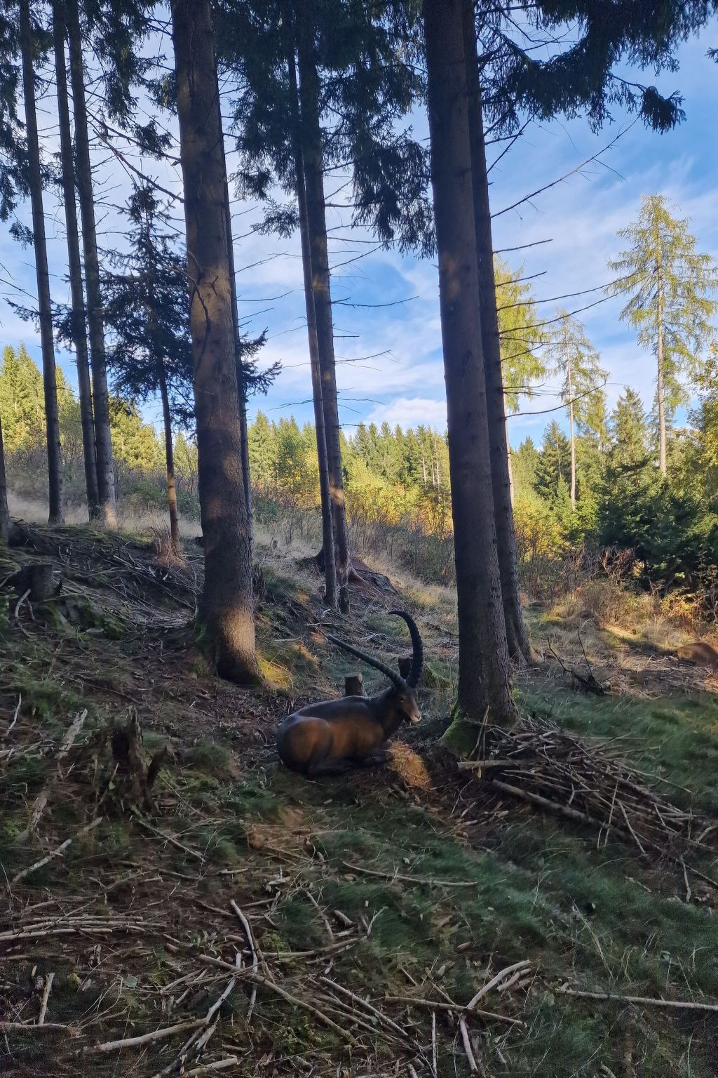 Knusperhäuschen Maria Nikolett in Wolfsberg-Binnen