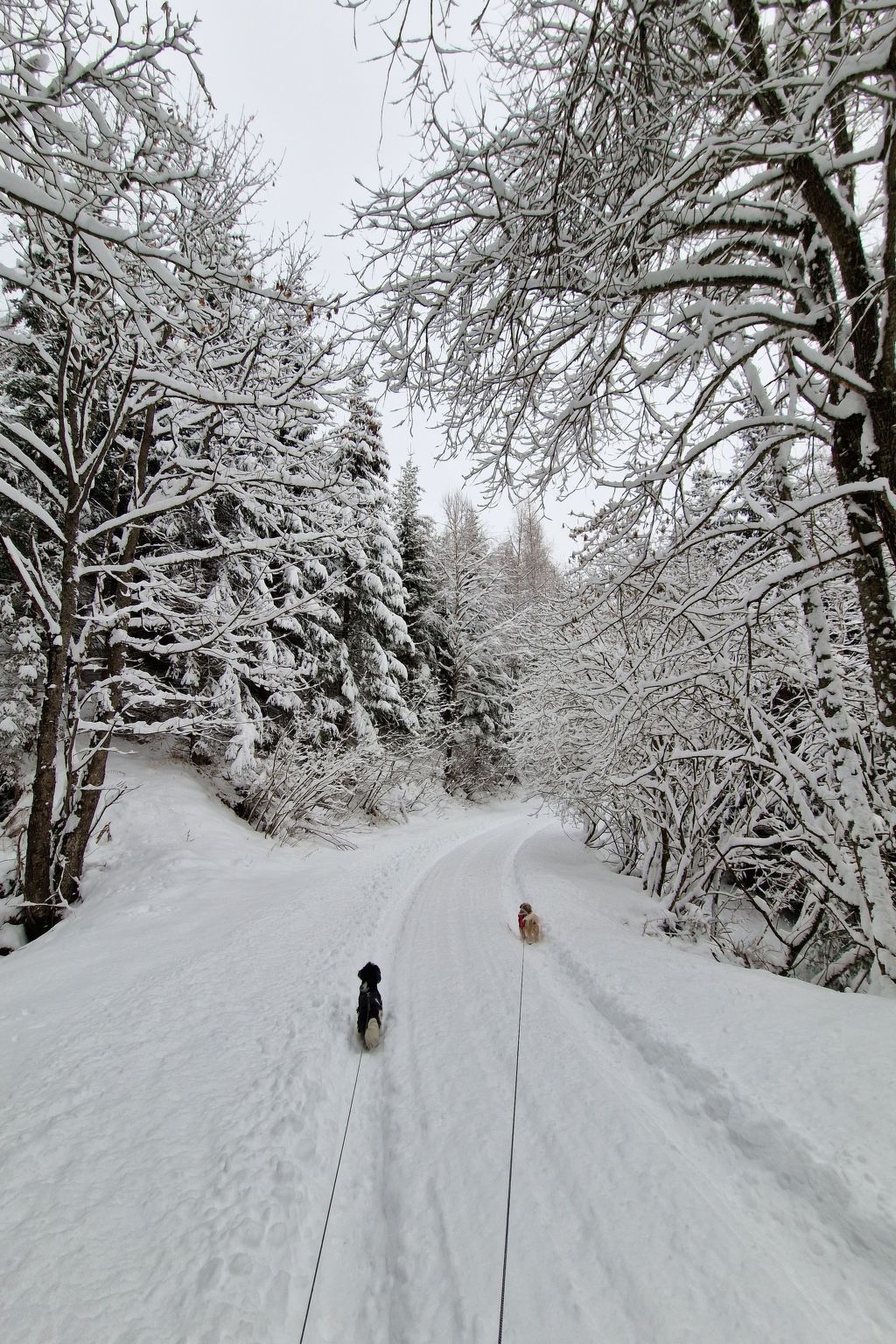 Knusperhäuschen Maria Nikolett in Wolfsberg-Binnen