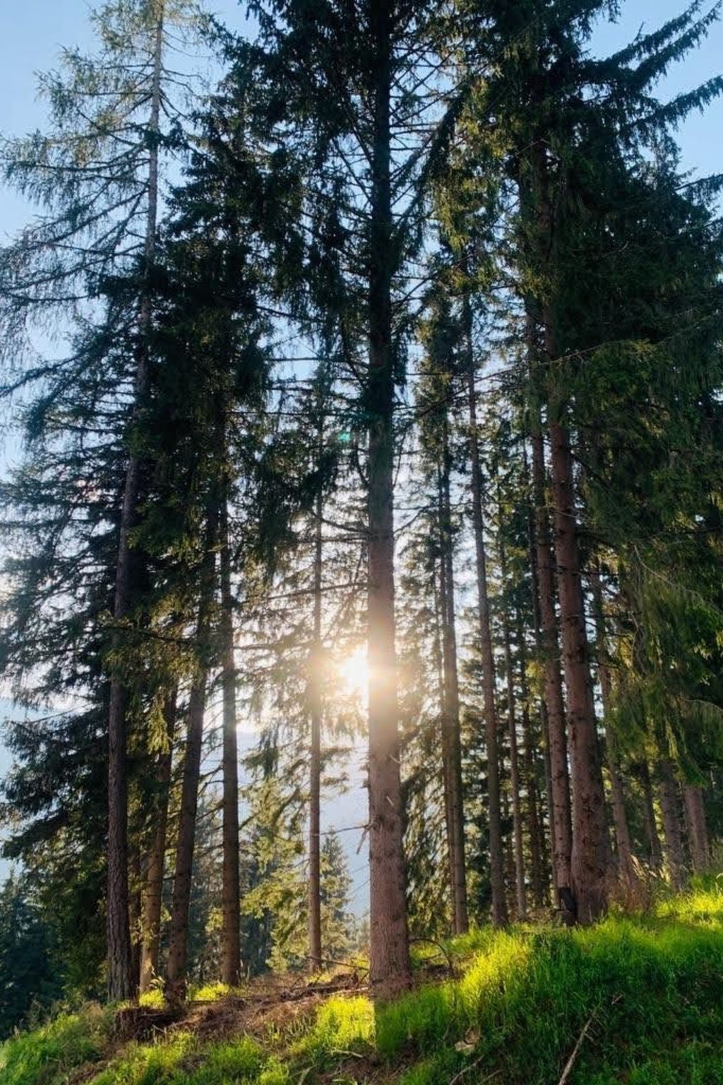 Knusperhäuschen Maria Nikolett in Wolfsberg-Binnen