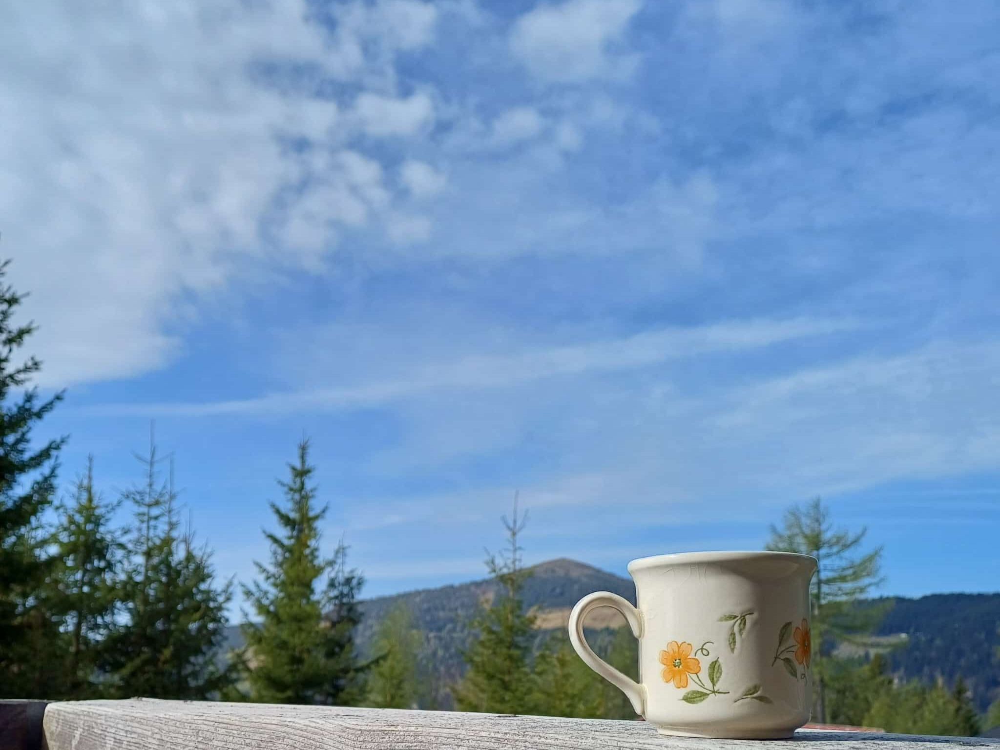 The comfortable alpine hut is located directly in a quiet residential area in the heart of the "Klippitztörl" ski/hiking area. Various chairlifts and pistes are within walking distance. The manageabl..