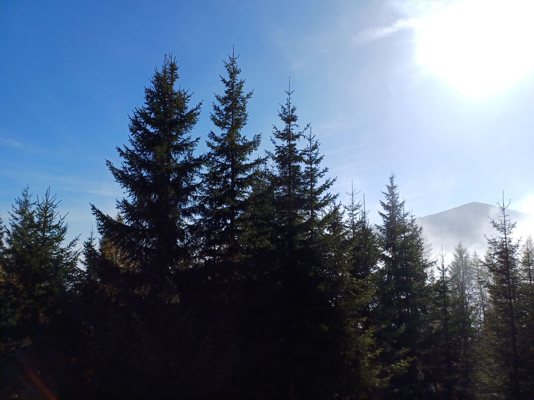 Gemütliche Almhütte direkt im Skigebiet-Binnen