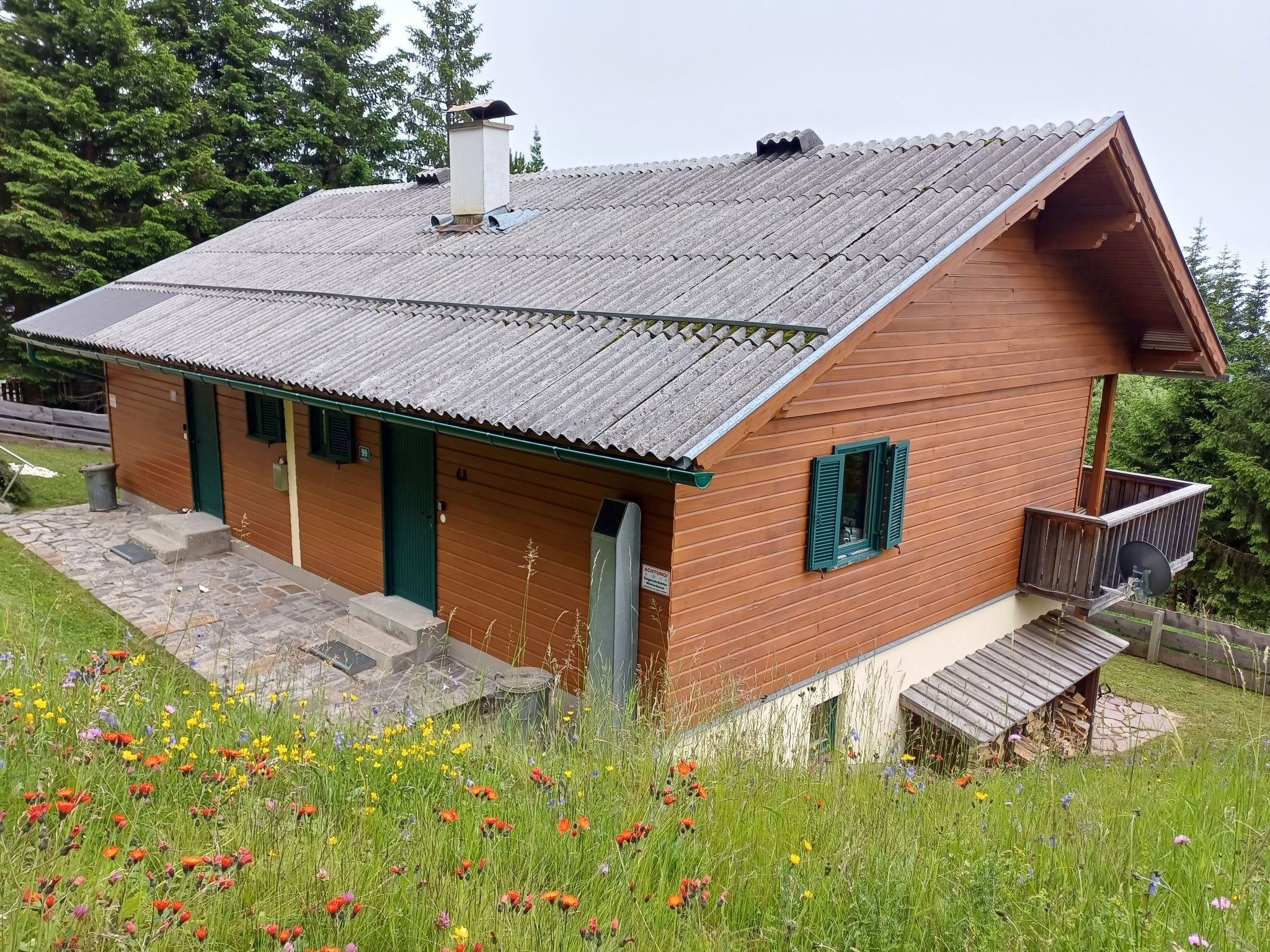 Gemütliche Almhütte direkt im Skigebiet-Binnen