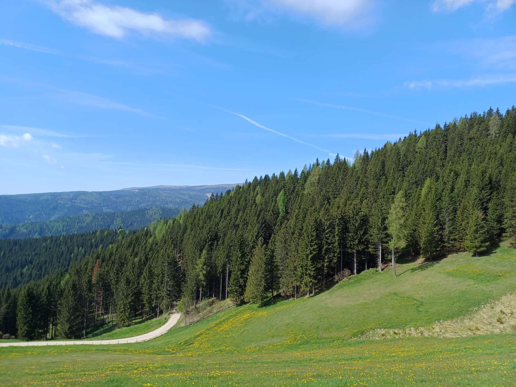 Gemütliche Almhütte direkt im Skigebiet-Binnen