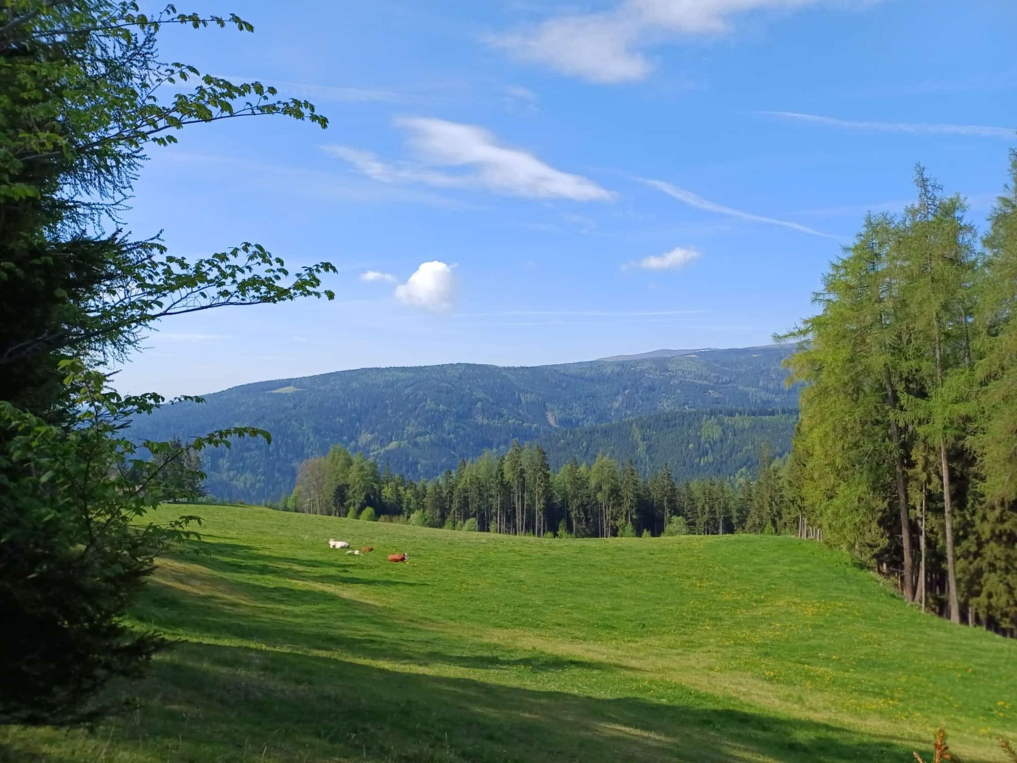 Gemütliche Almhütte direkt im Skigebiet-Binnen