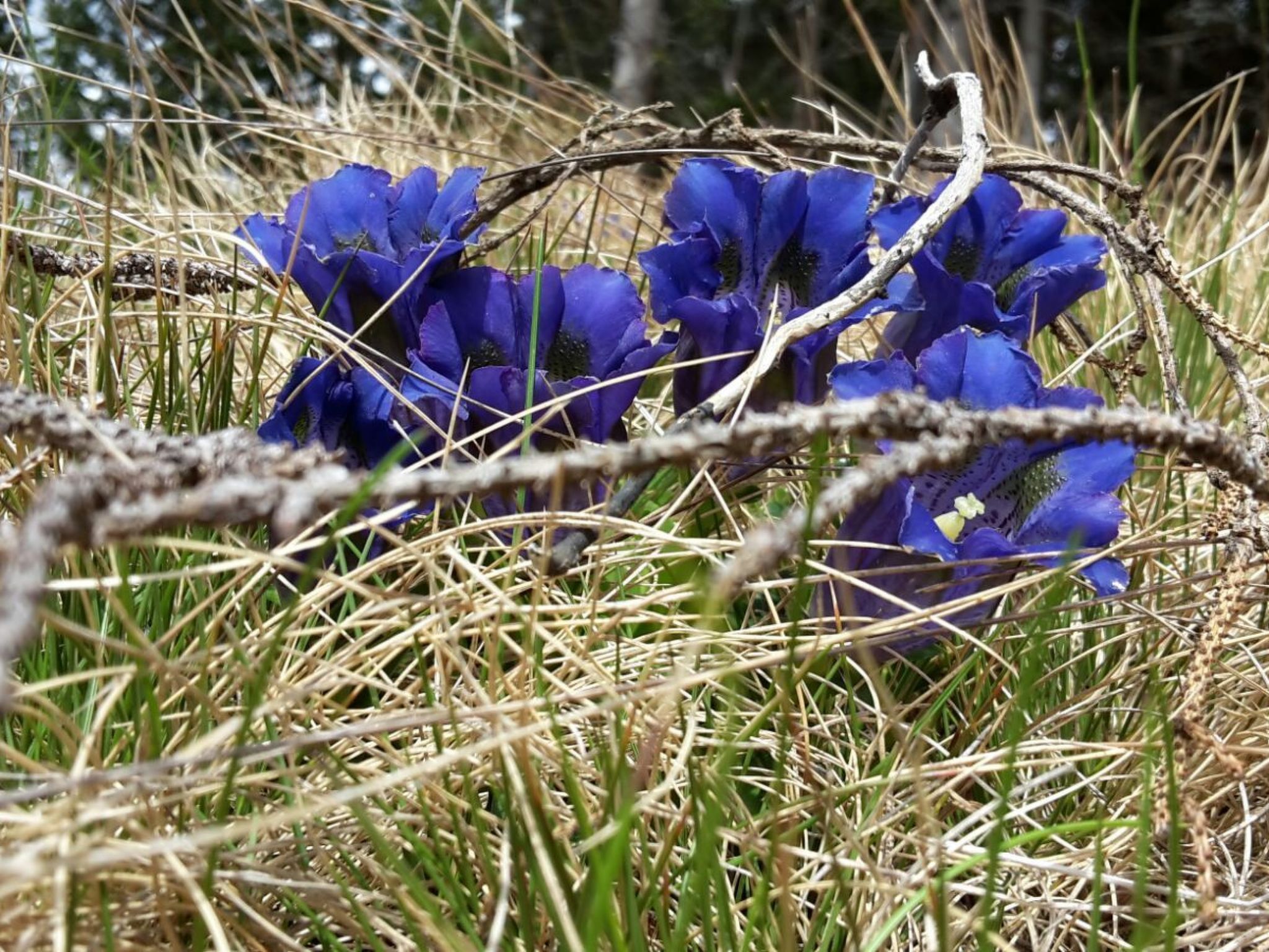 Harterhütte in Klippitztörl-Binnen