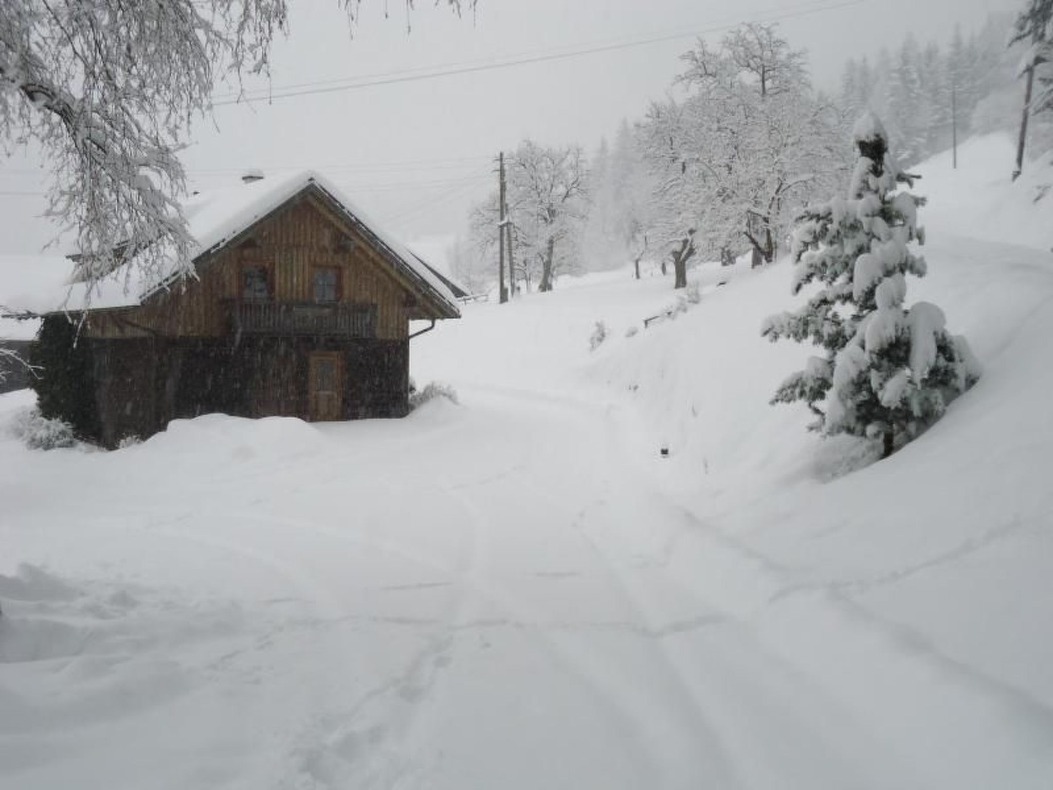 Schmiedbauer Hütt`n