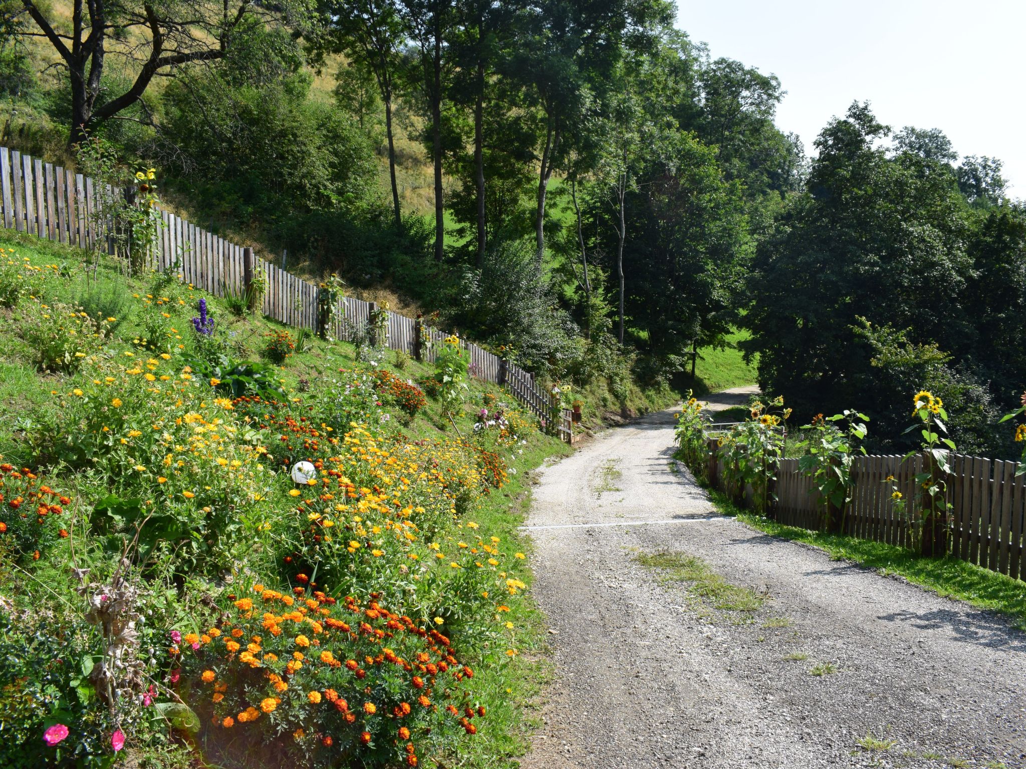 Alm-Ferienhaus-Binnen