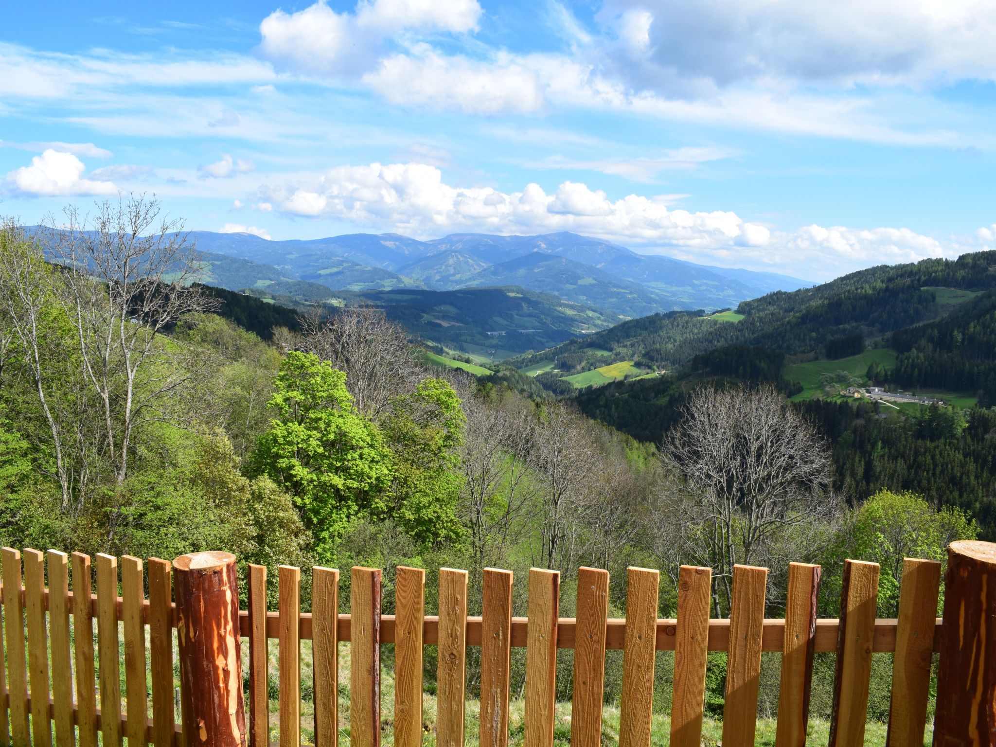 Alm-Ferienhaus-Binnen