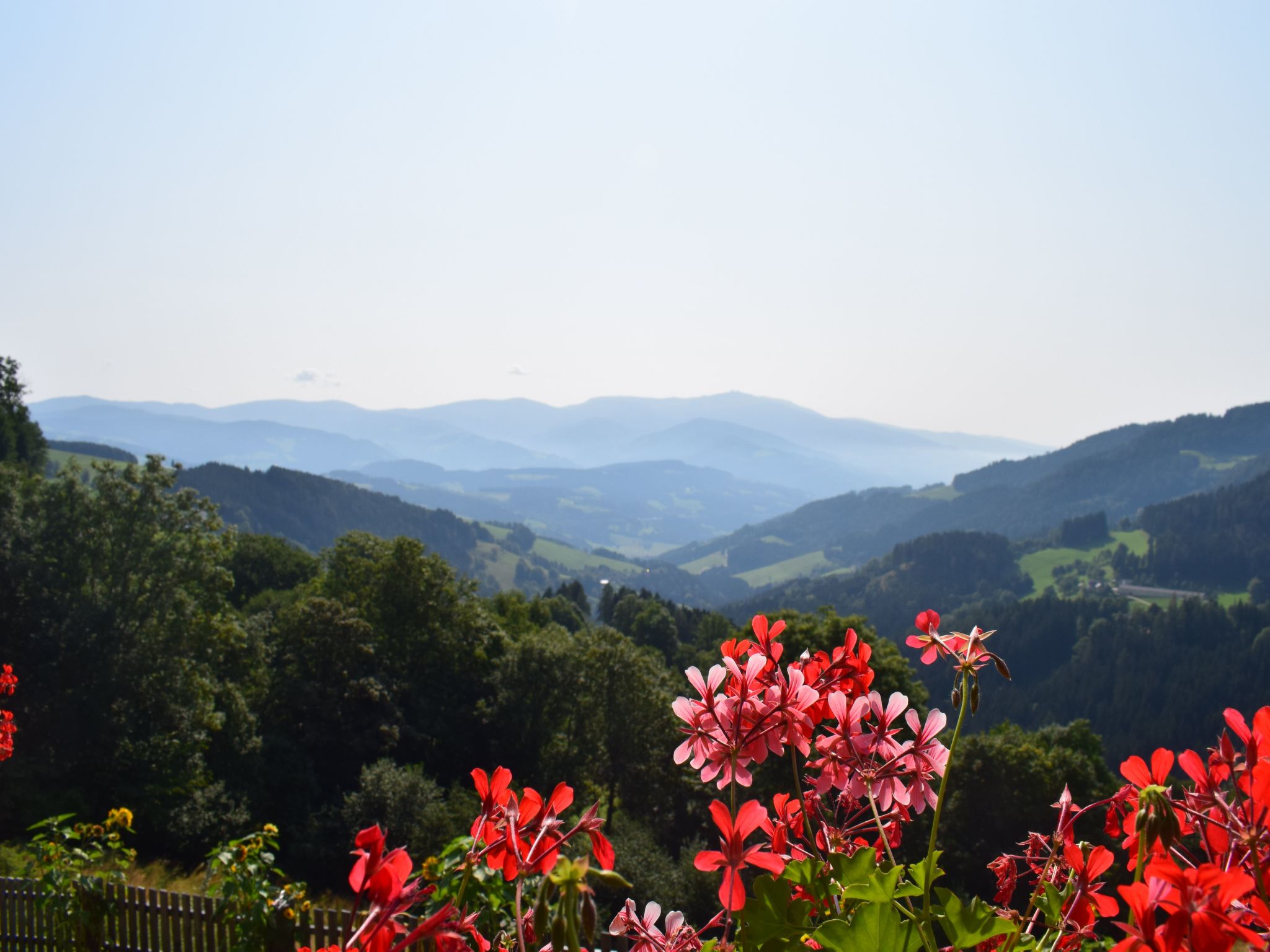Alm-Ferienhaus-Binnen