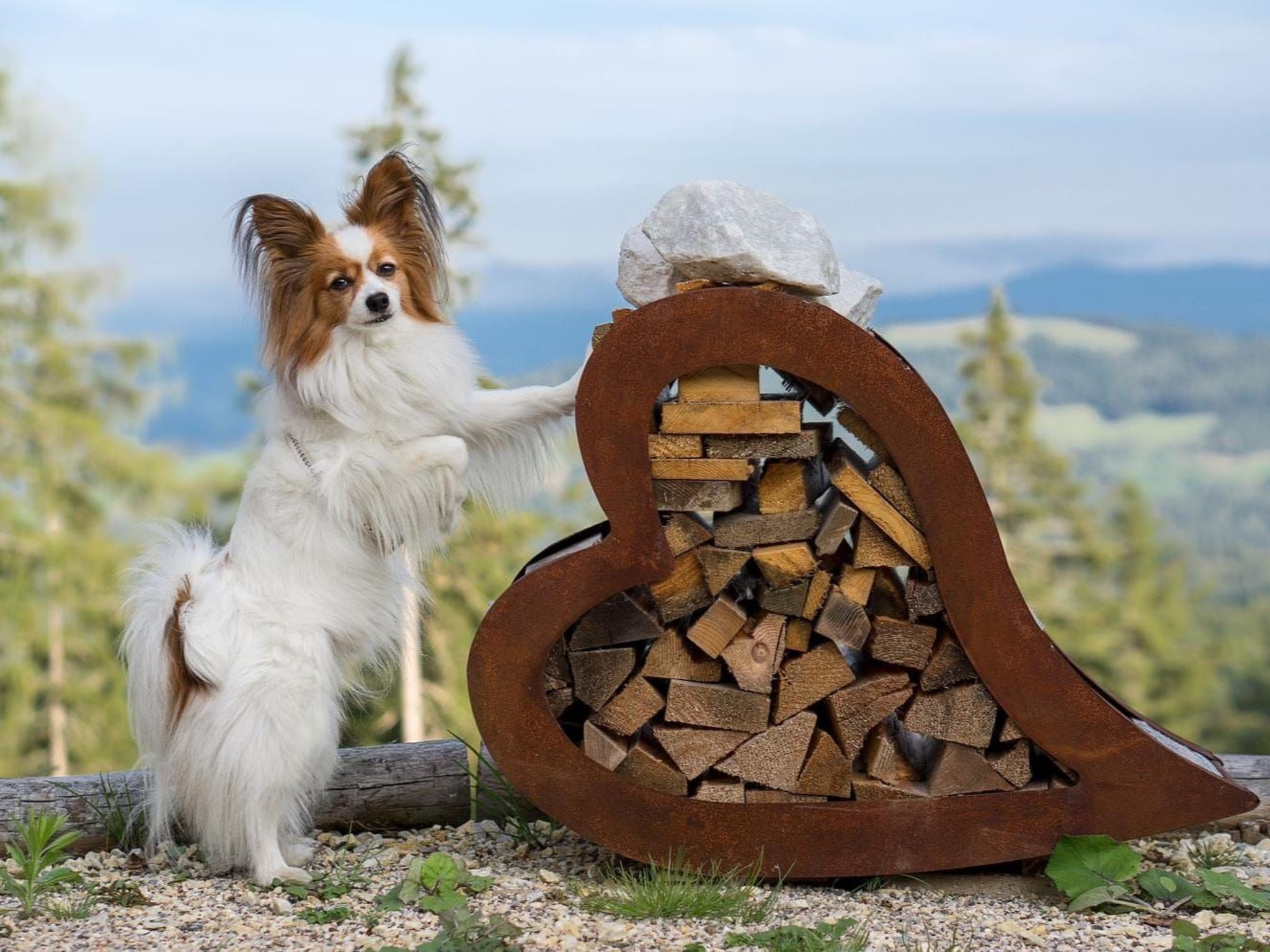 "Die Berghex'n "-Binnen