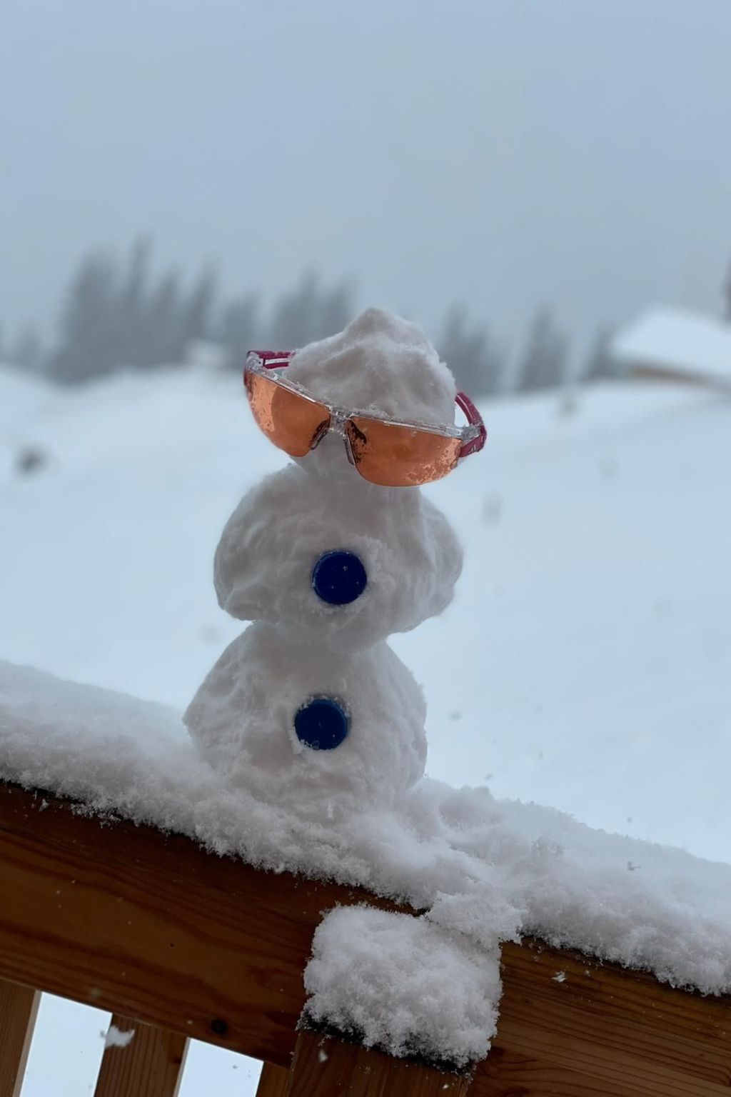 "Die Berghex'n "-Binnen