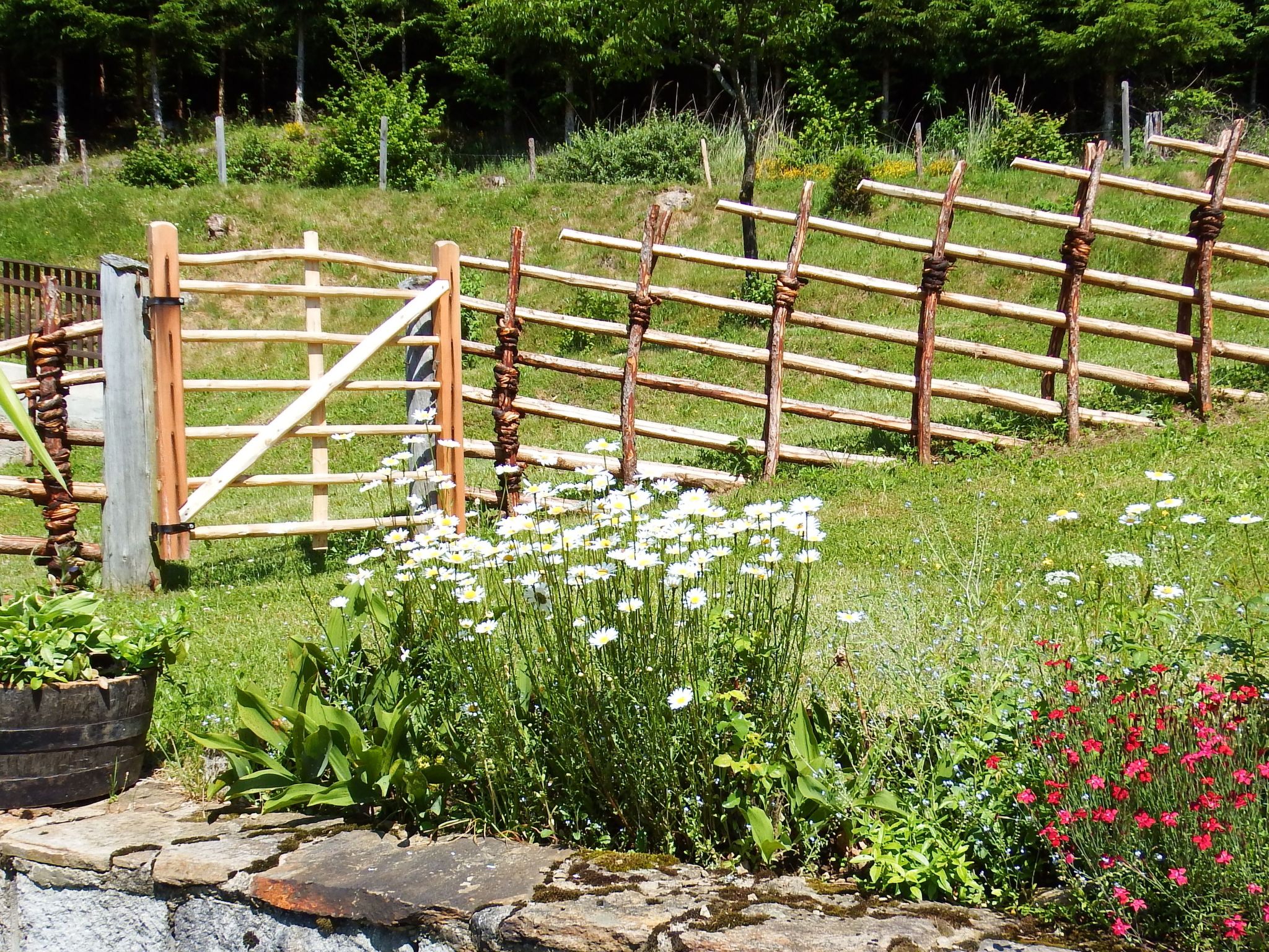 Zum Koralmblick-Binnen