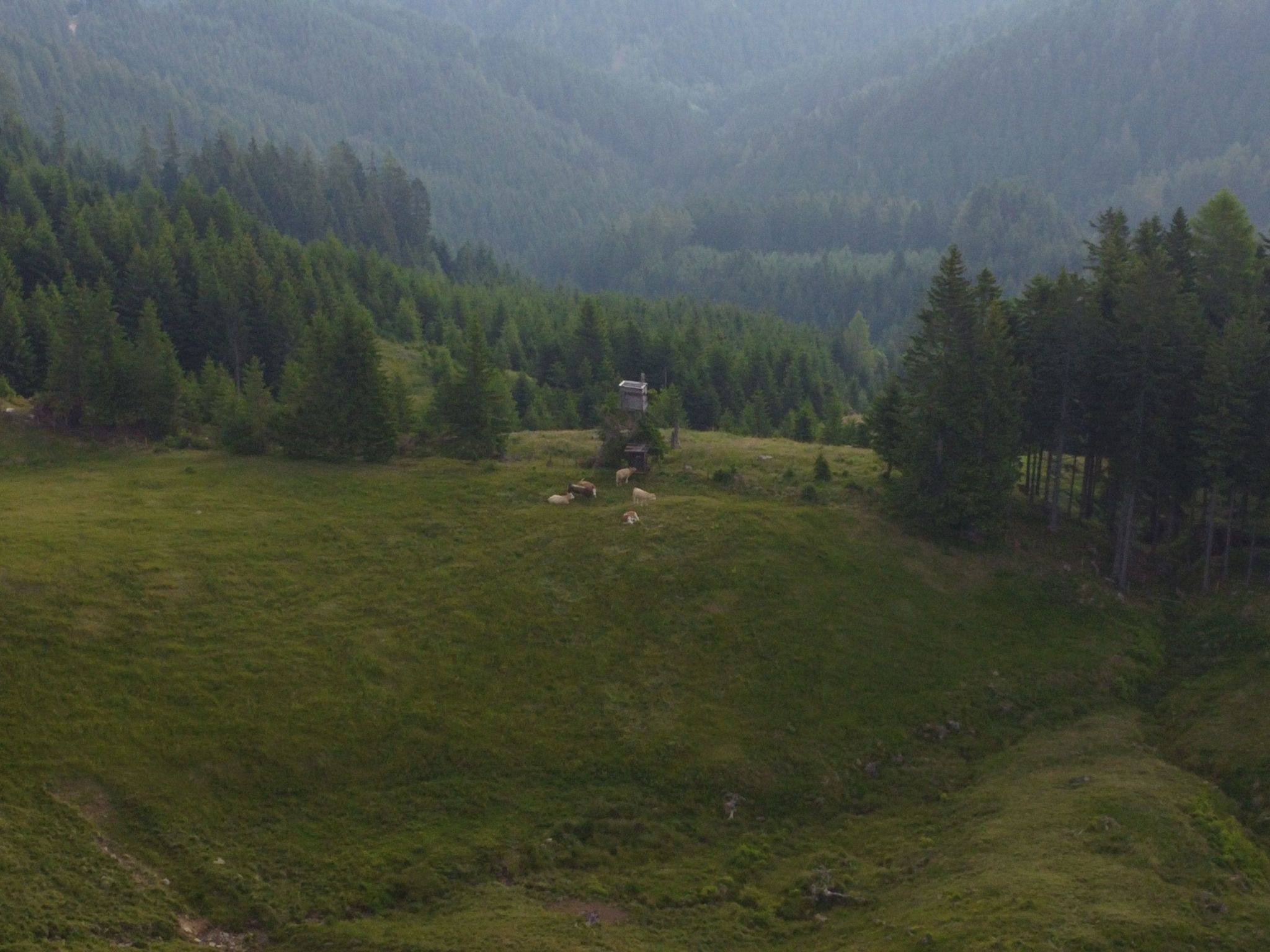 Alpentraum in Klippitztörl-Binnen