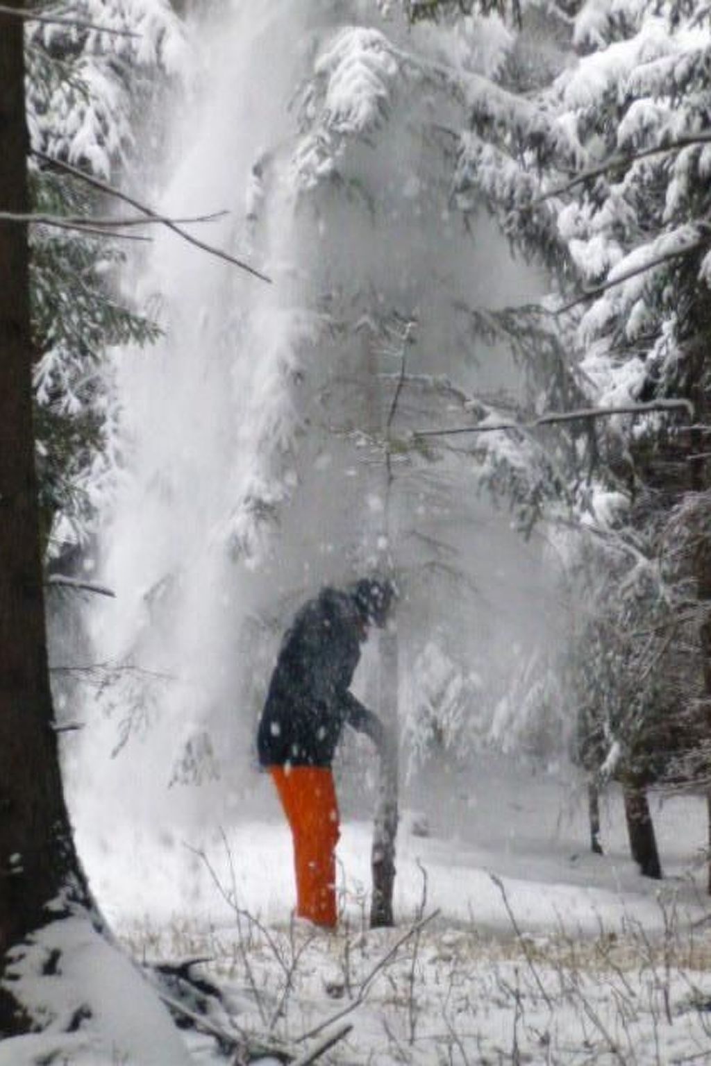 Almhütte Helmut Dischgerbrent in Sankt Margarethen