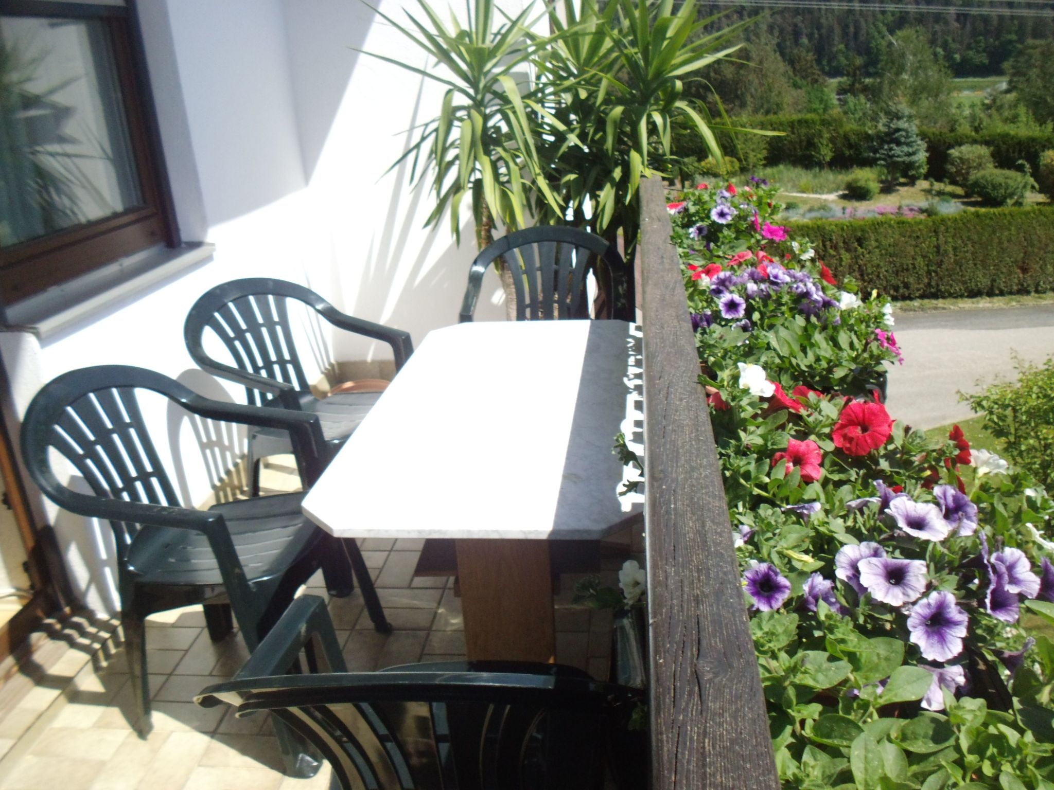 Draublick-Image-tags.info