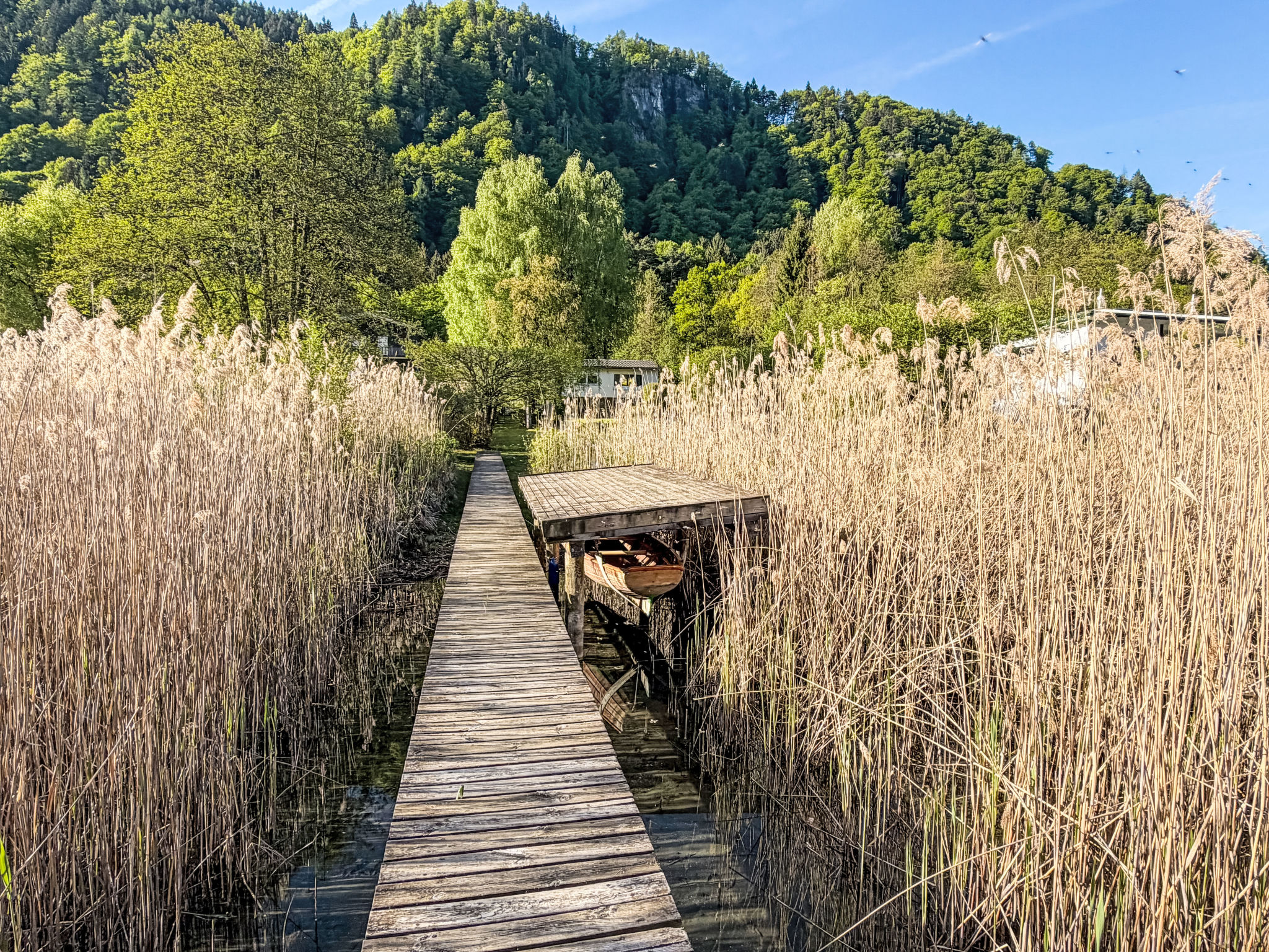 Seeidylle Ossiacher See Apt. 2 - Buiten