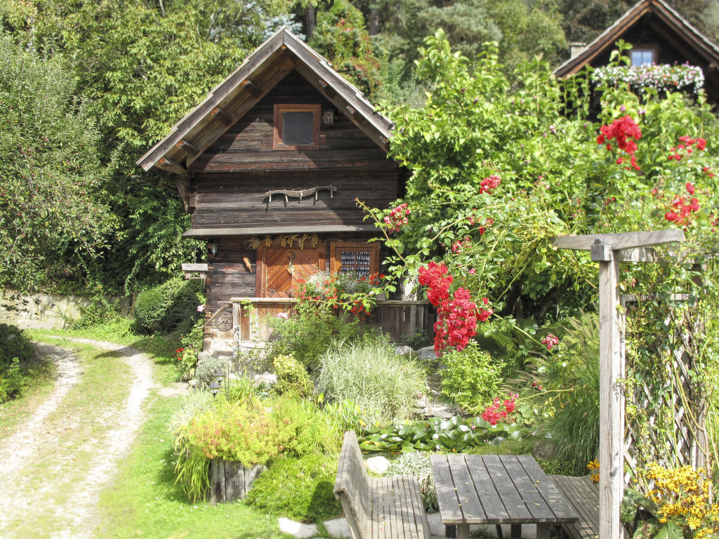 Ferienhaus Kunzhof (TFN110) Ferienhaus  Kärnten