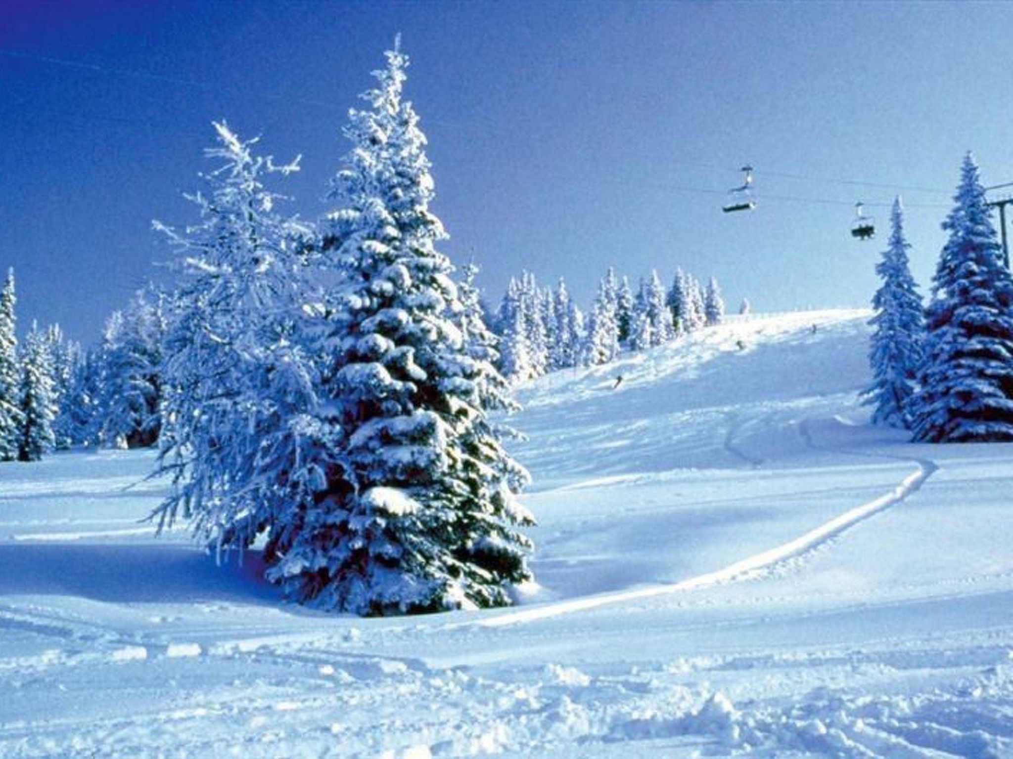 Almchalet Orter in Treffen am Ossiacher See-Inside