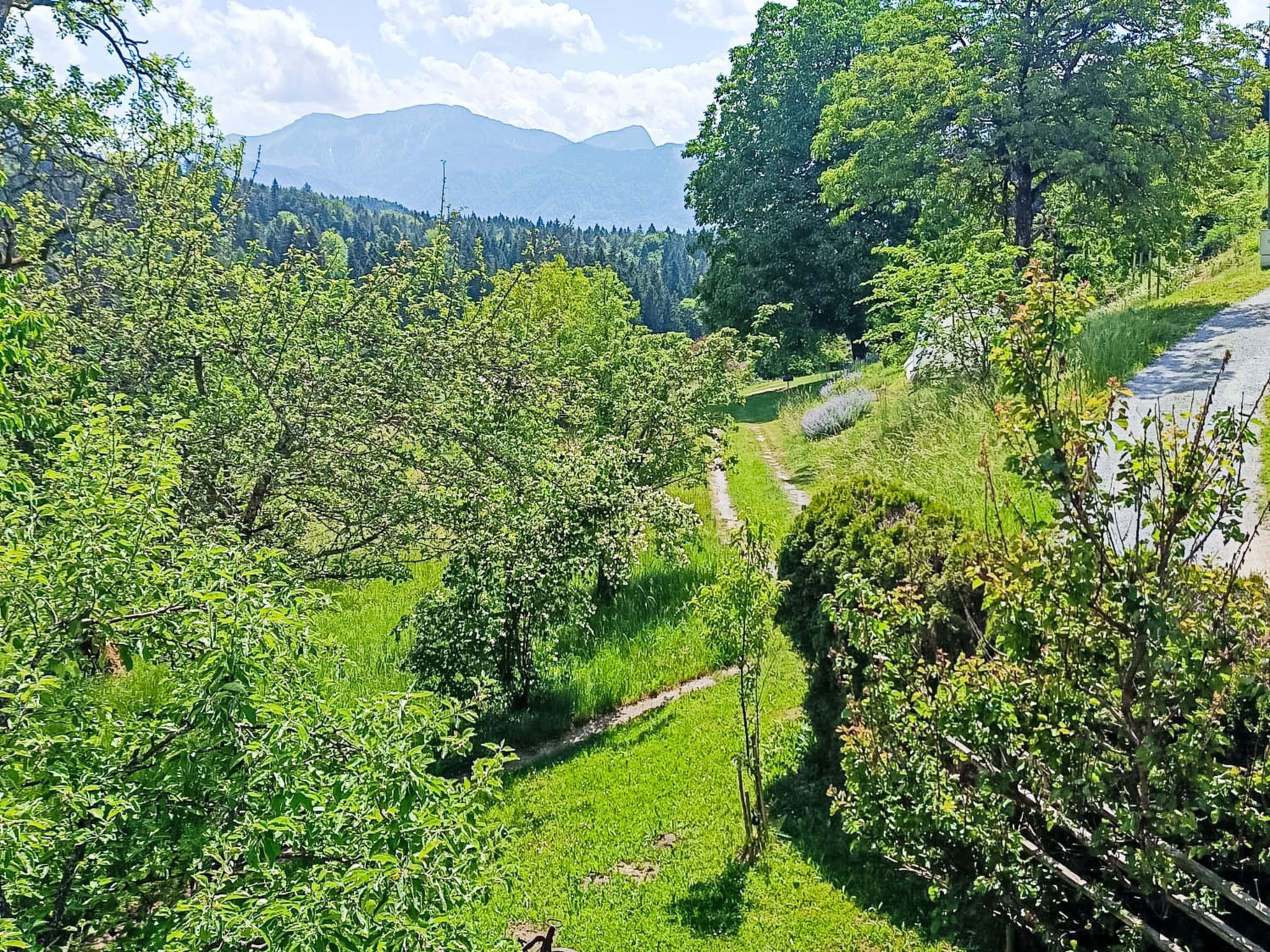 Idyllische Panorama-Südwohnung in Wörtherseenähe - Outside
