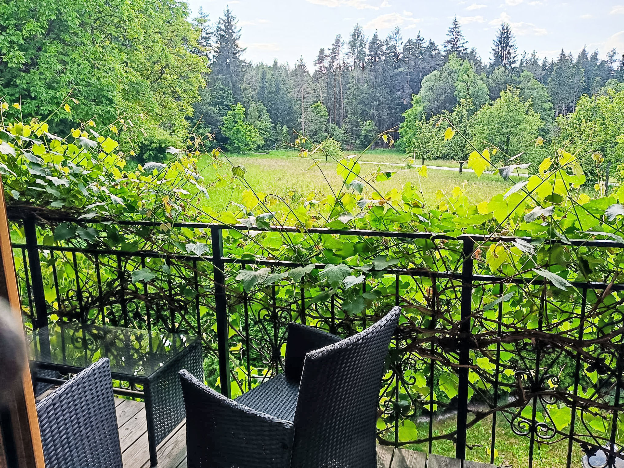Wörtherseenahe Ferienwohnung im Grünen