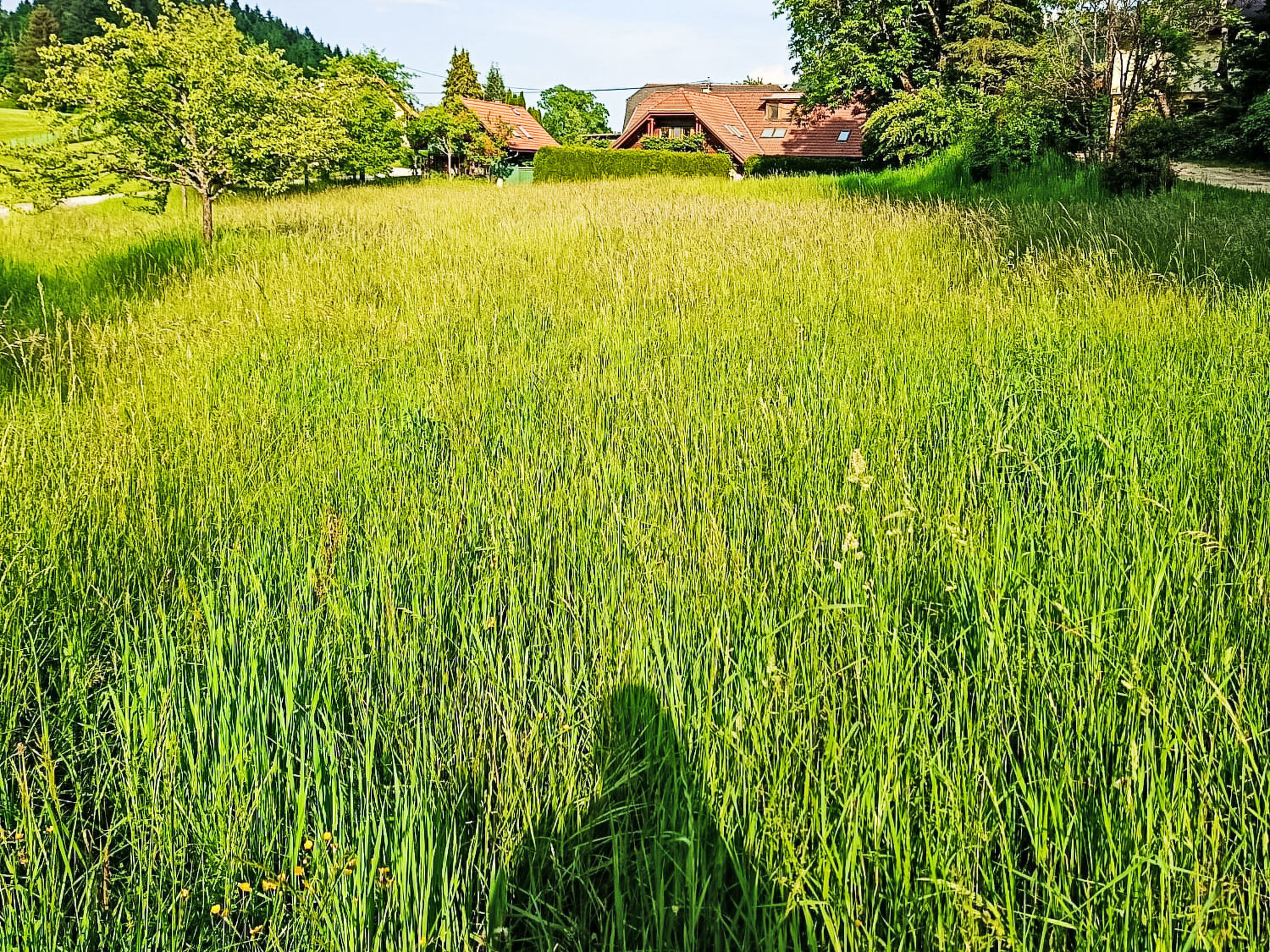 Wörtherseenahe Ferienwohnung im Grünen - Outside