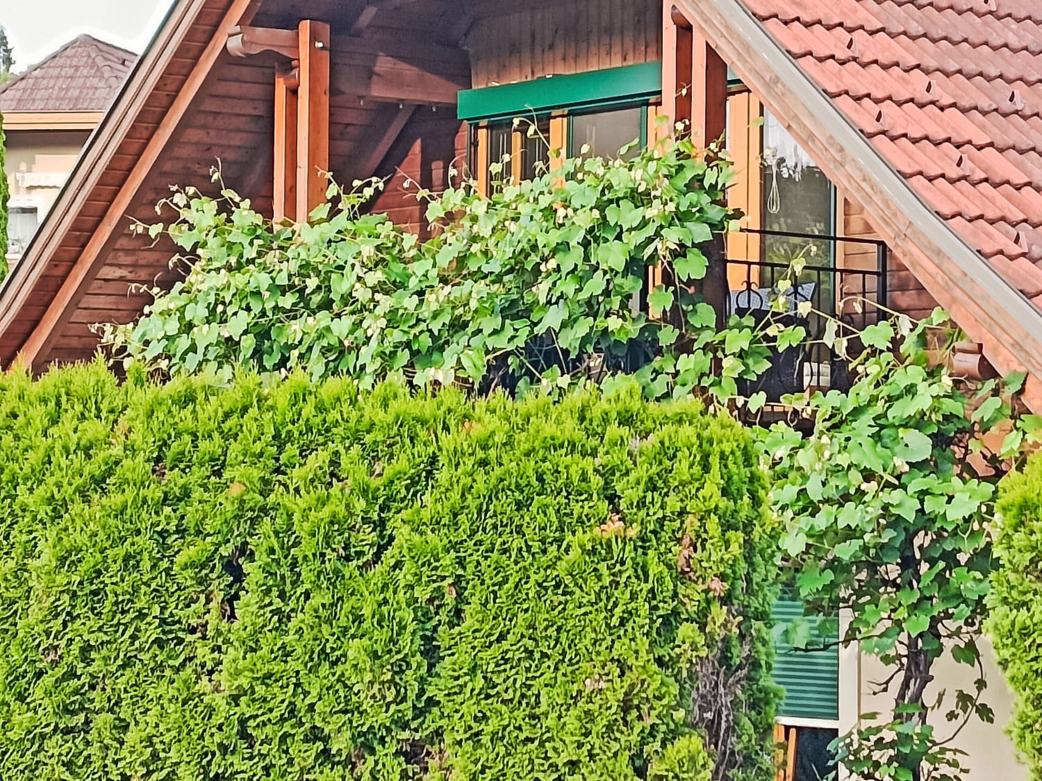 Wörtherseenahe Ferienwohnung im Grünen - Outside