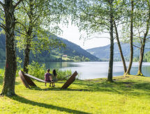 Top miejscowość AFRITZ AM SEE