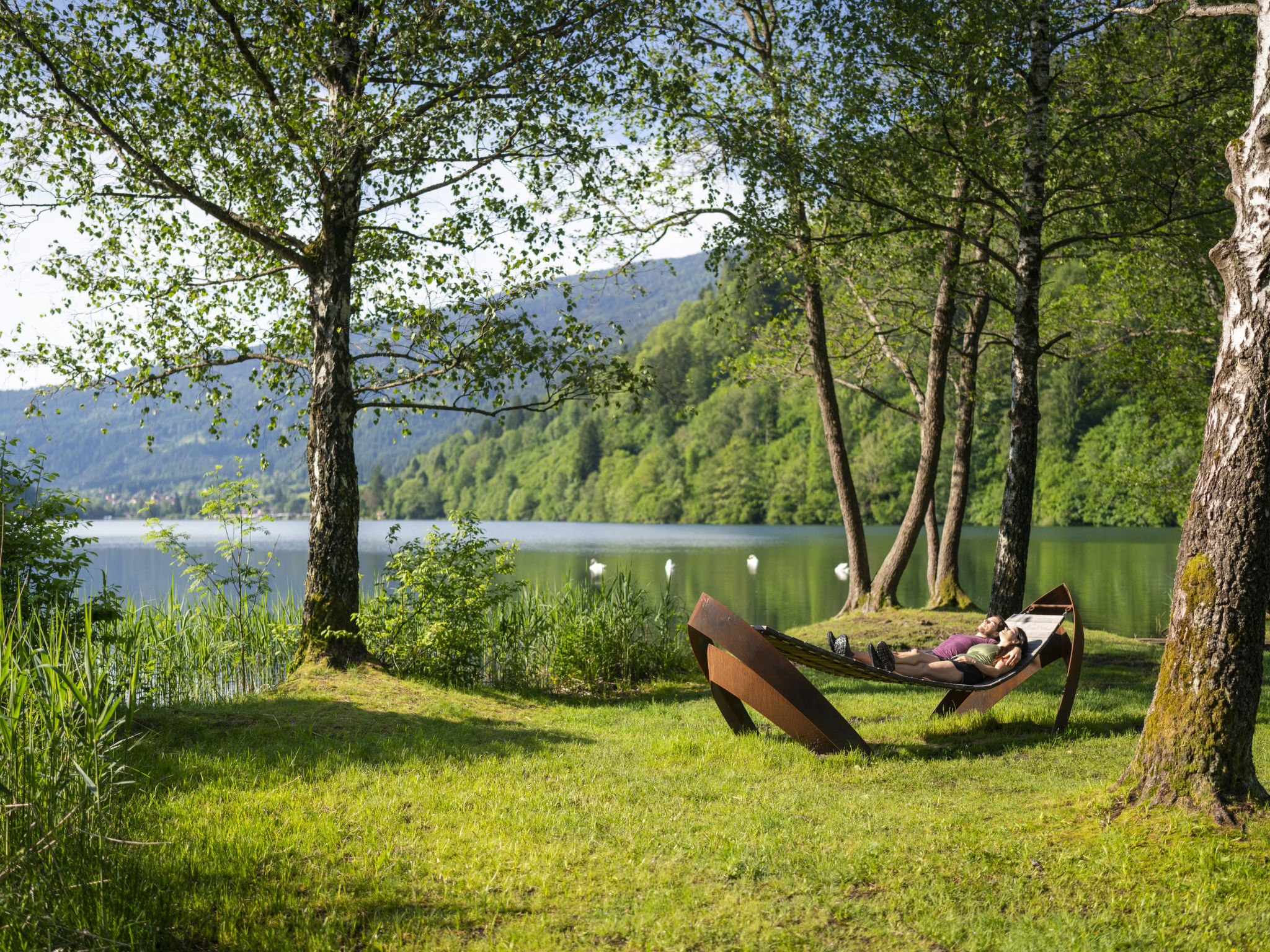 Lärchenhof - Umgebung