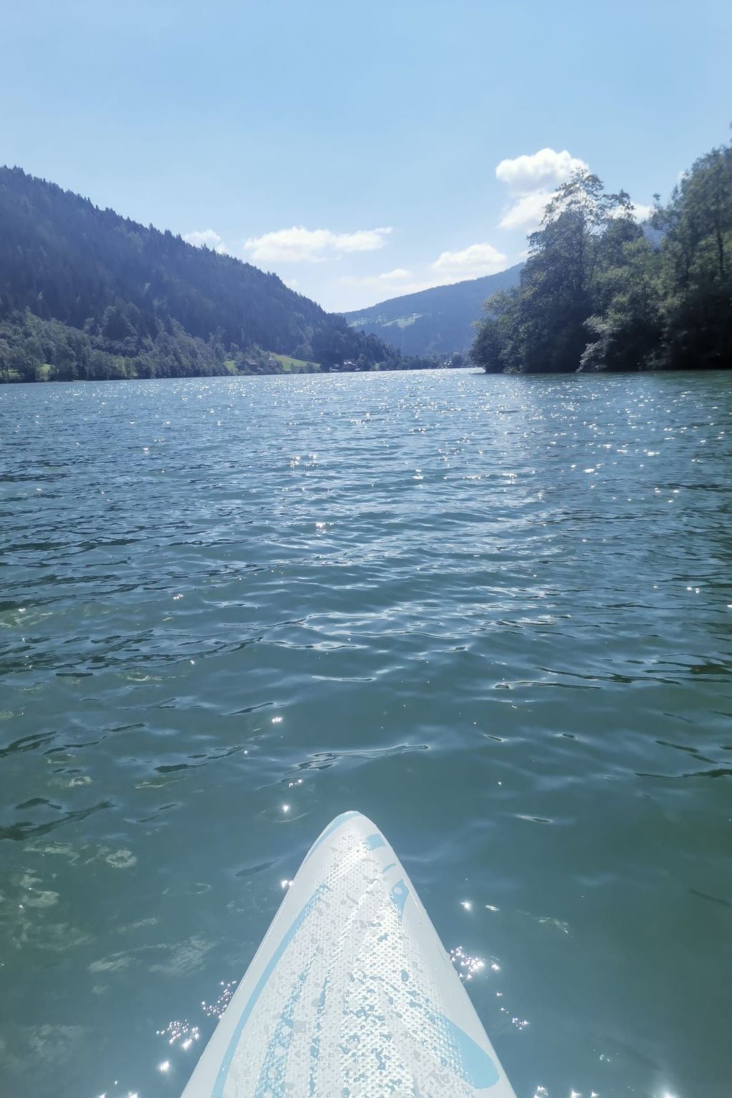 Im Haus Seebrauer in Feld am See