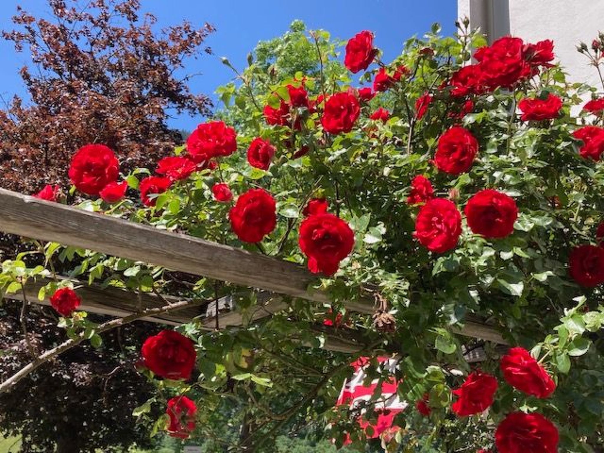 Im Haus Seebrauer in Feld am See-Binnen
