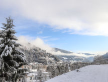 Vacation home Chalet Venus