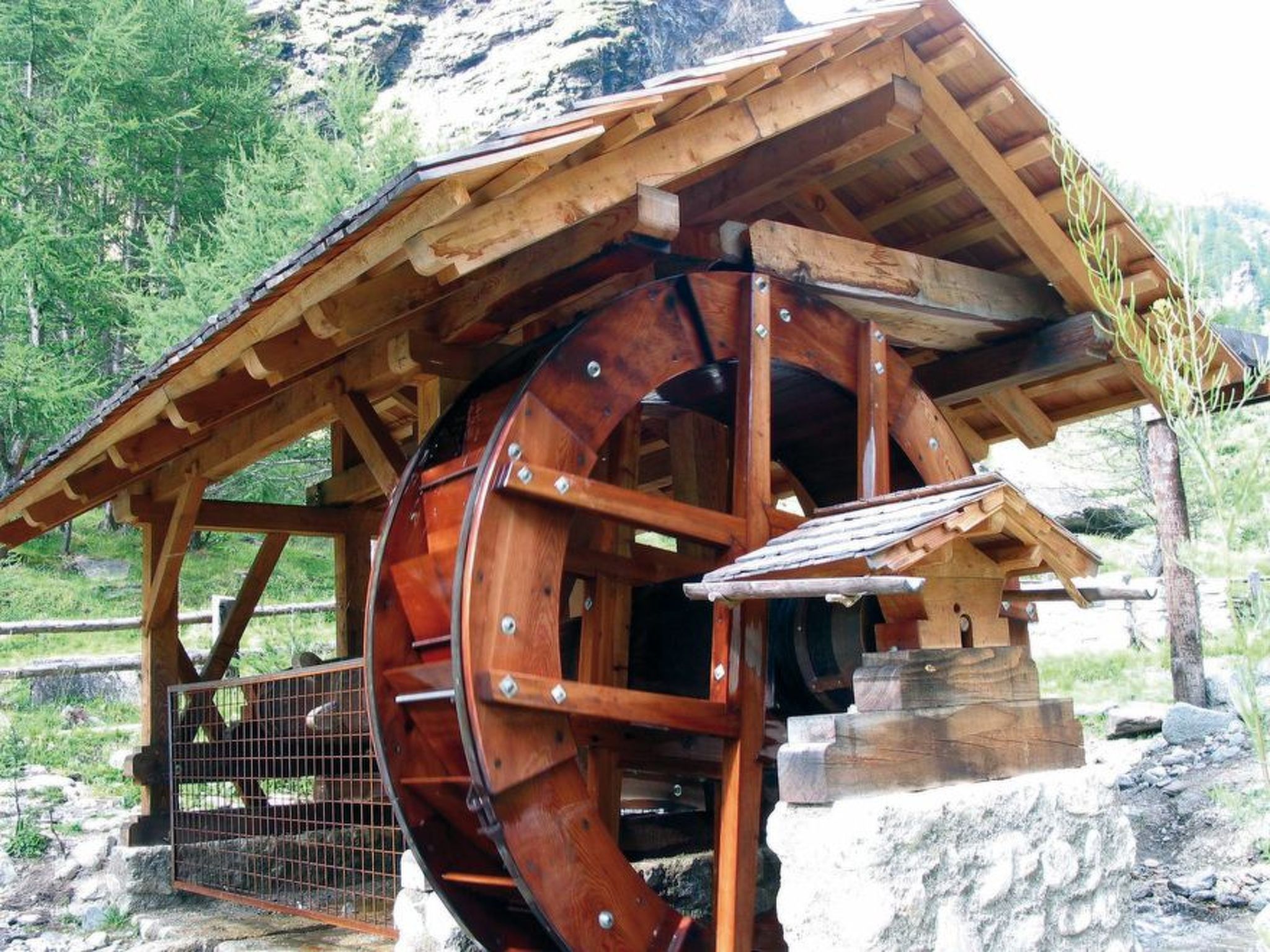 Enzian top 9-Outside