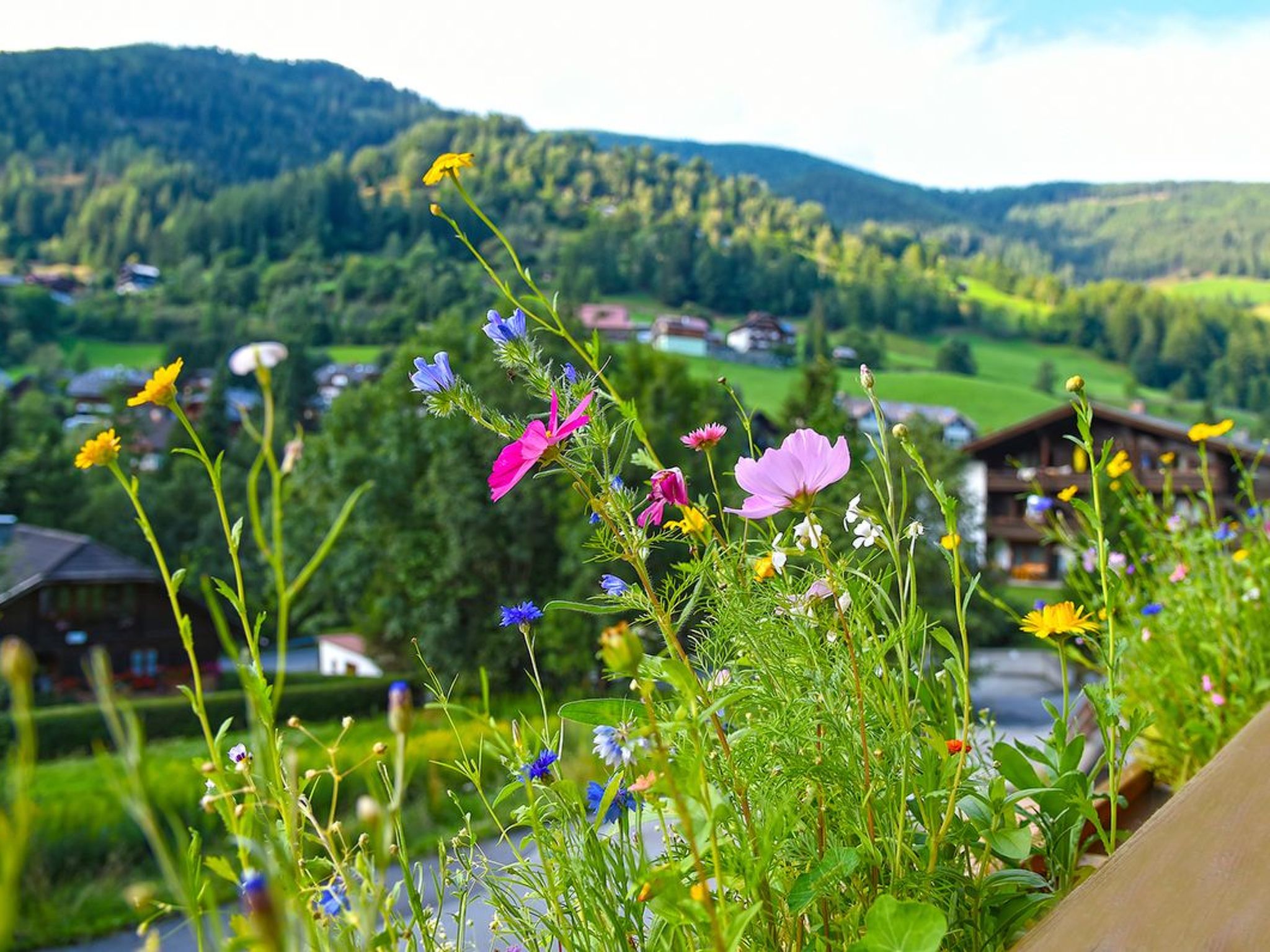 NOCKFLAIR Apartmen-Outside