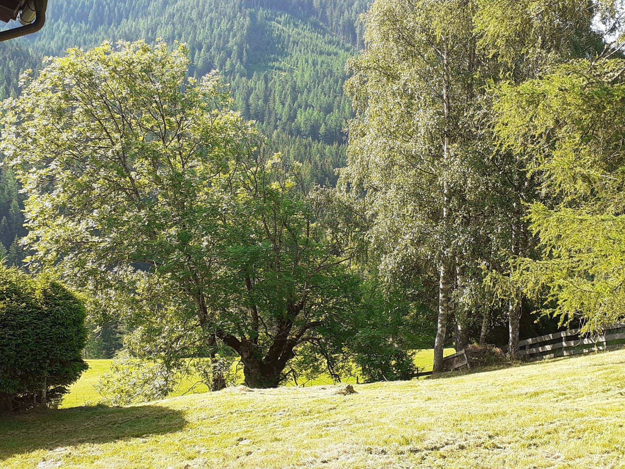 Chalet Wisernock-Inside