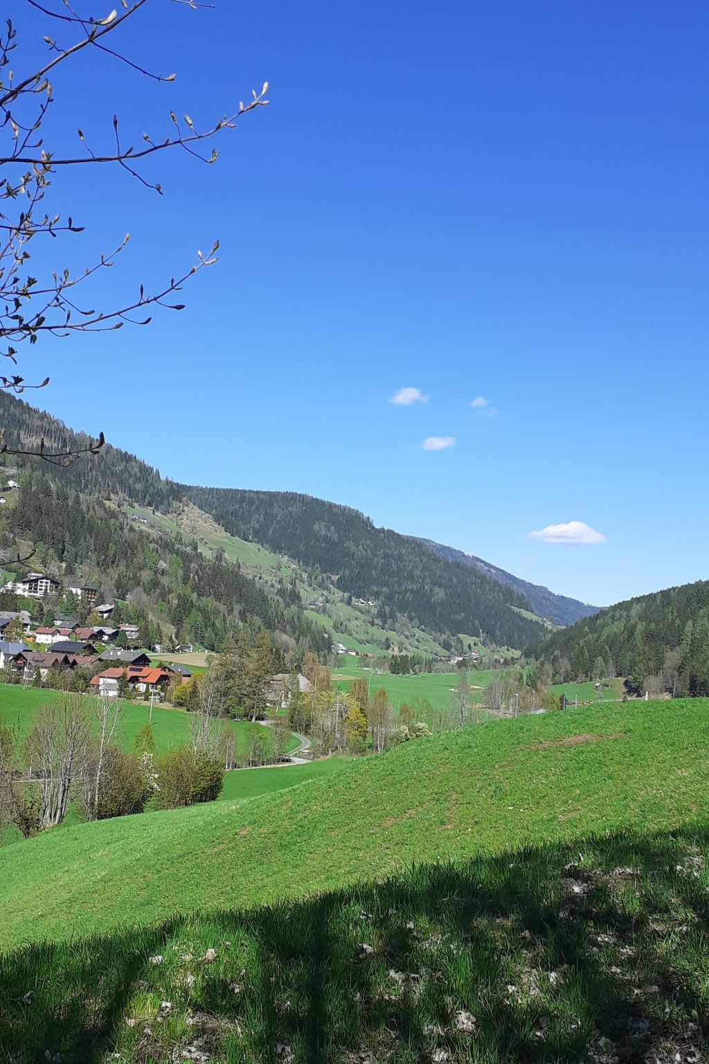 Lisa-Image-tags.info