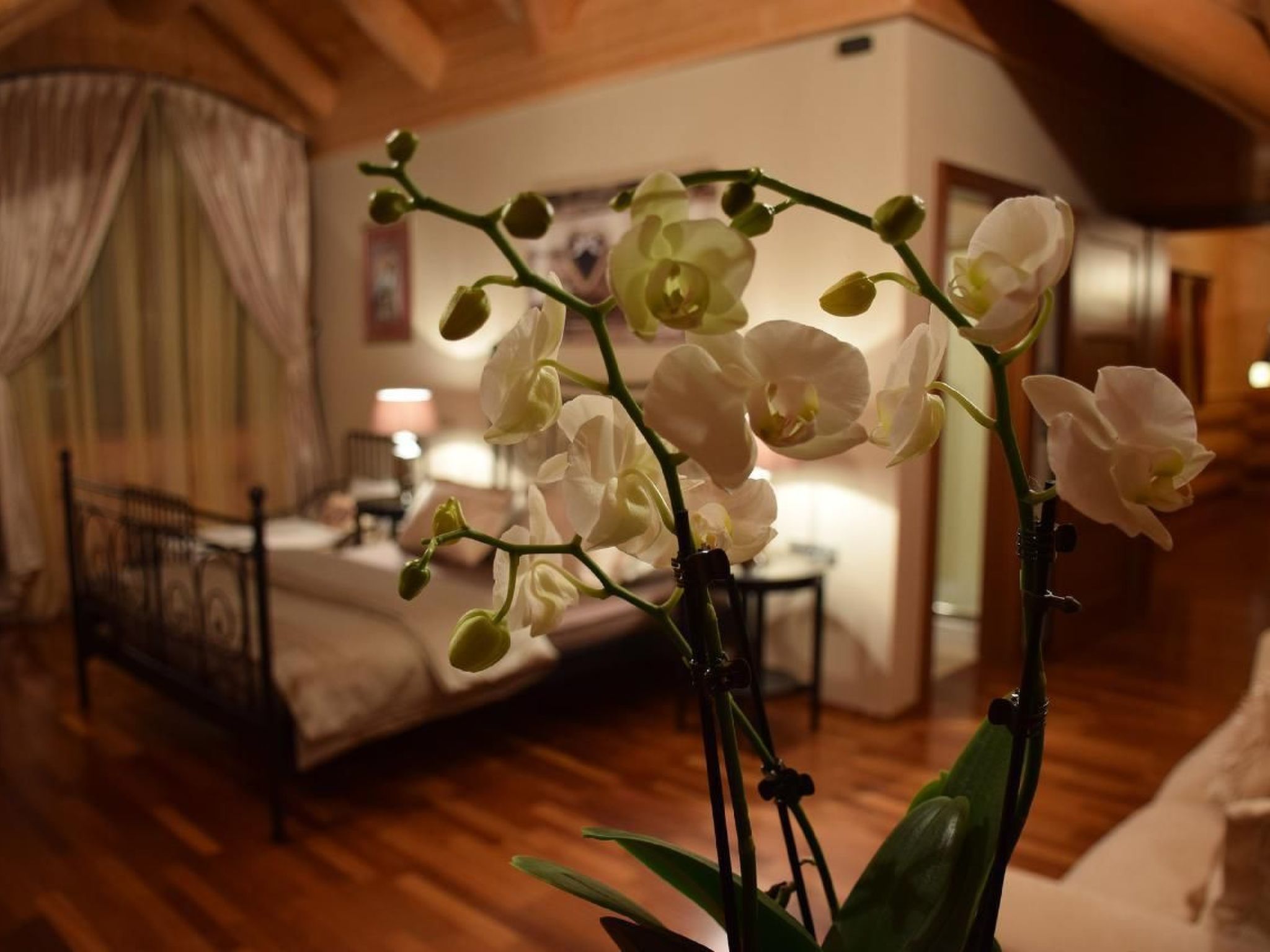 Einzigartiges Designer Log House "Chalet Caprea"-Inside