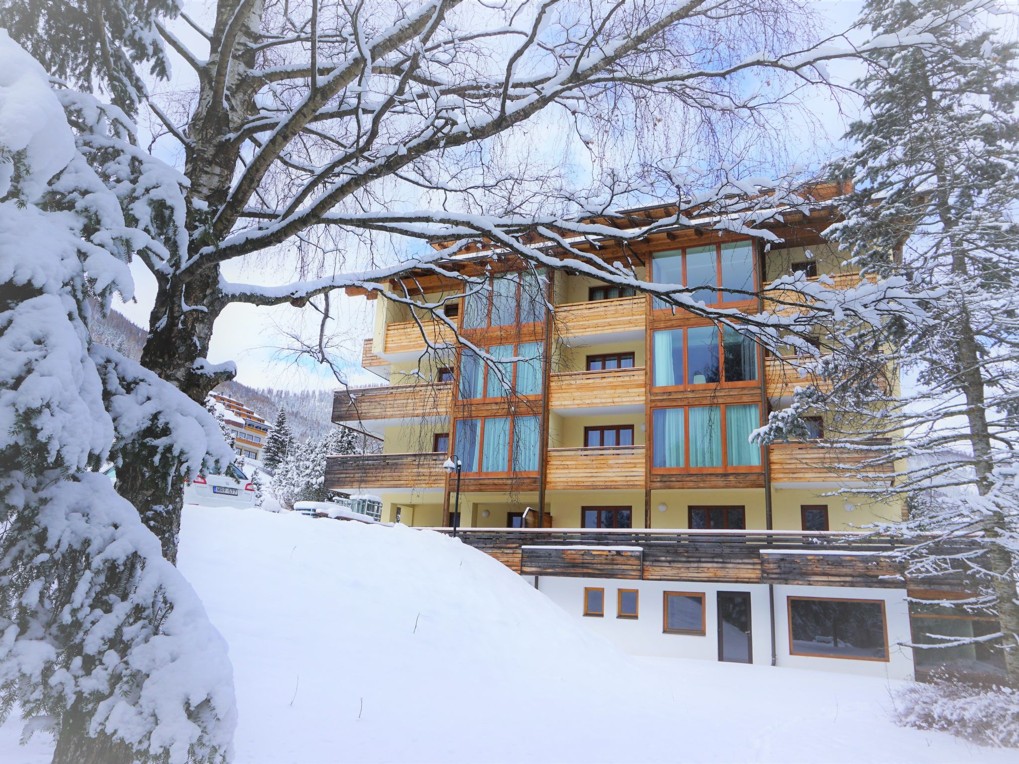 Design Chalet in Bad Kleinkirchheim