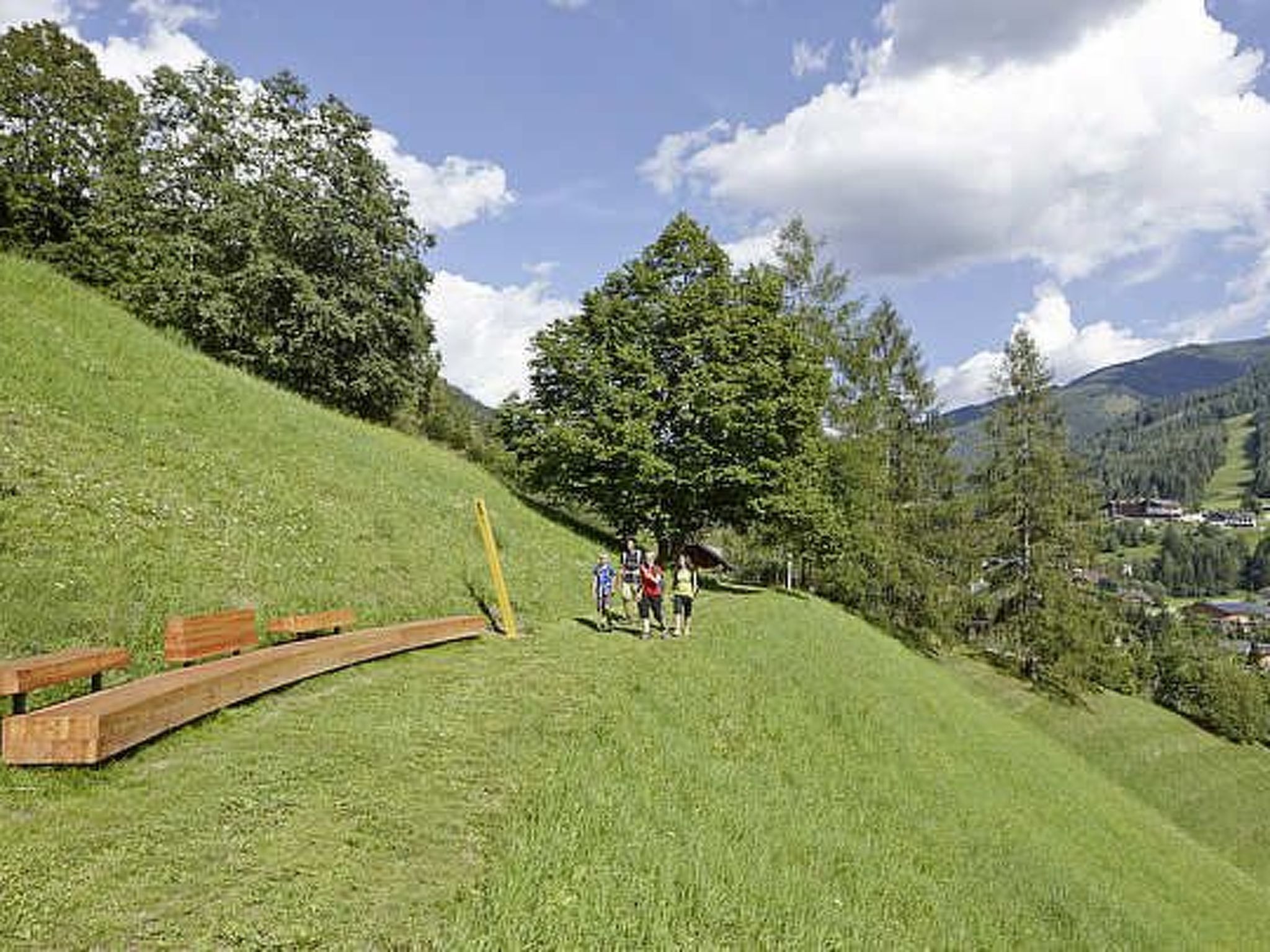 Fortuna-Image-tags.info