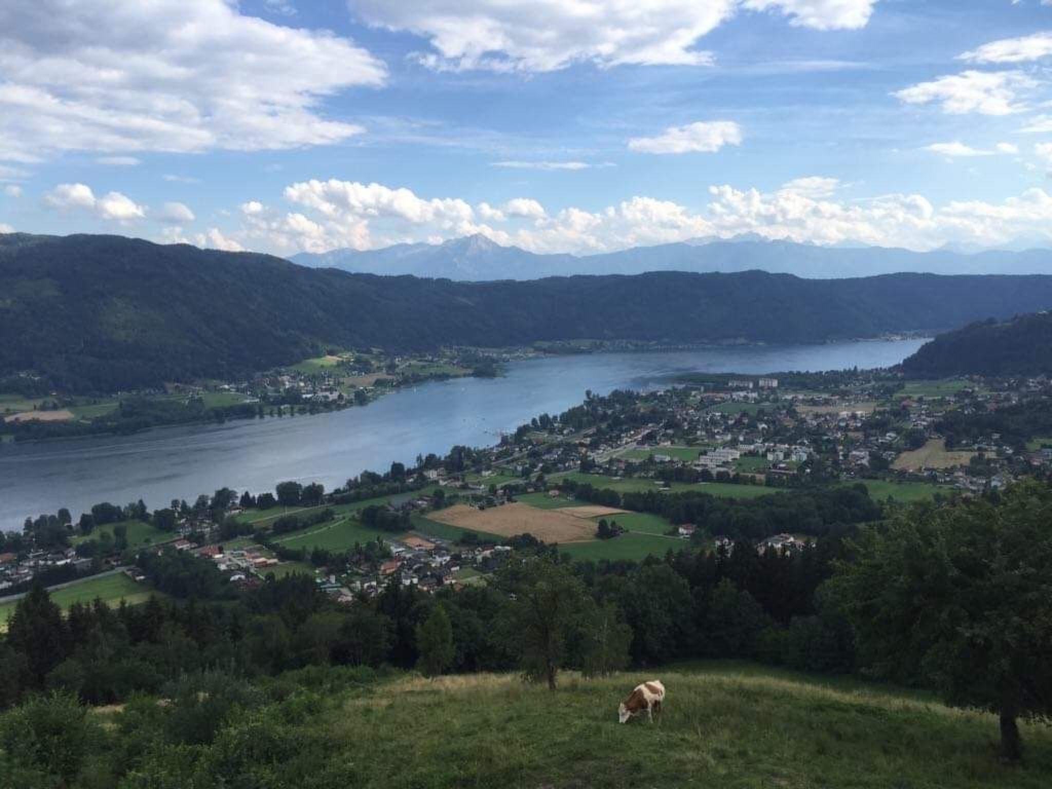 In Steindorf Am Ossiacher See-Dedans