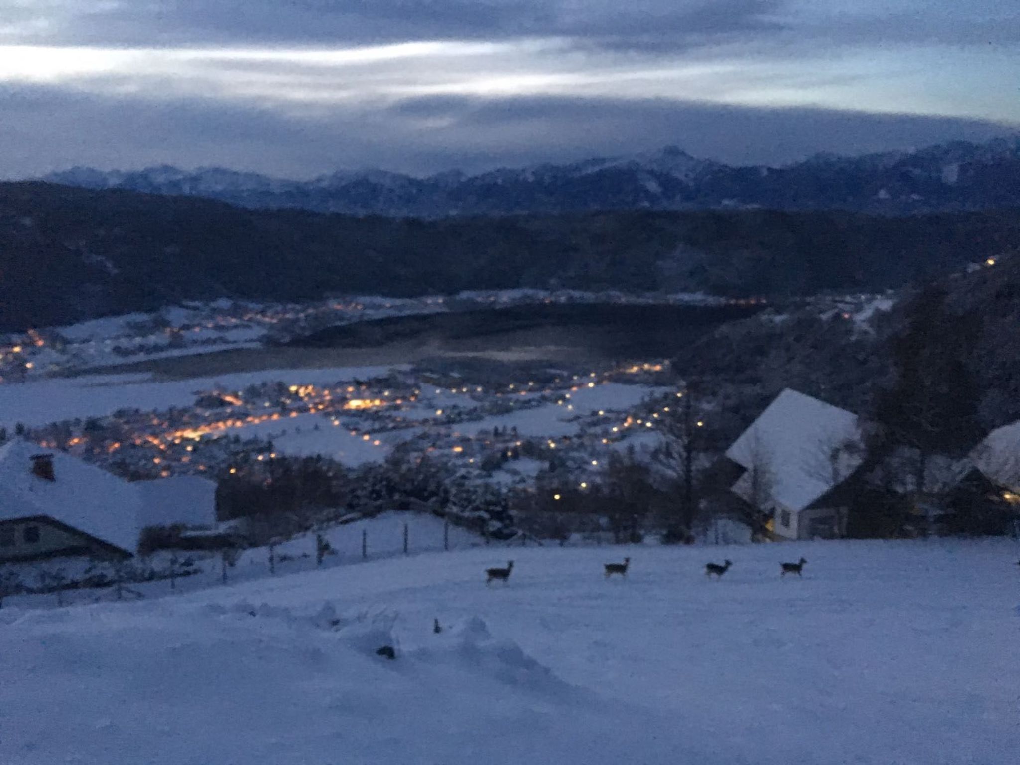 Appartement mit herrlichem Berg- und Seeblick