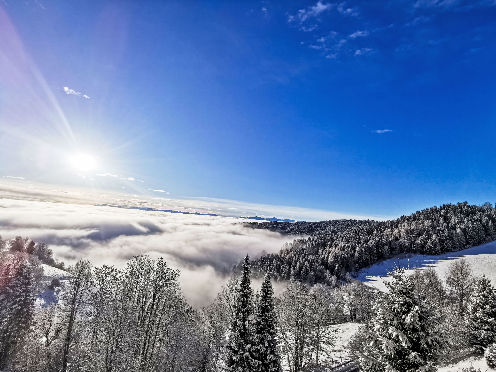 Urban & Florian - Draußen