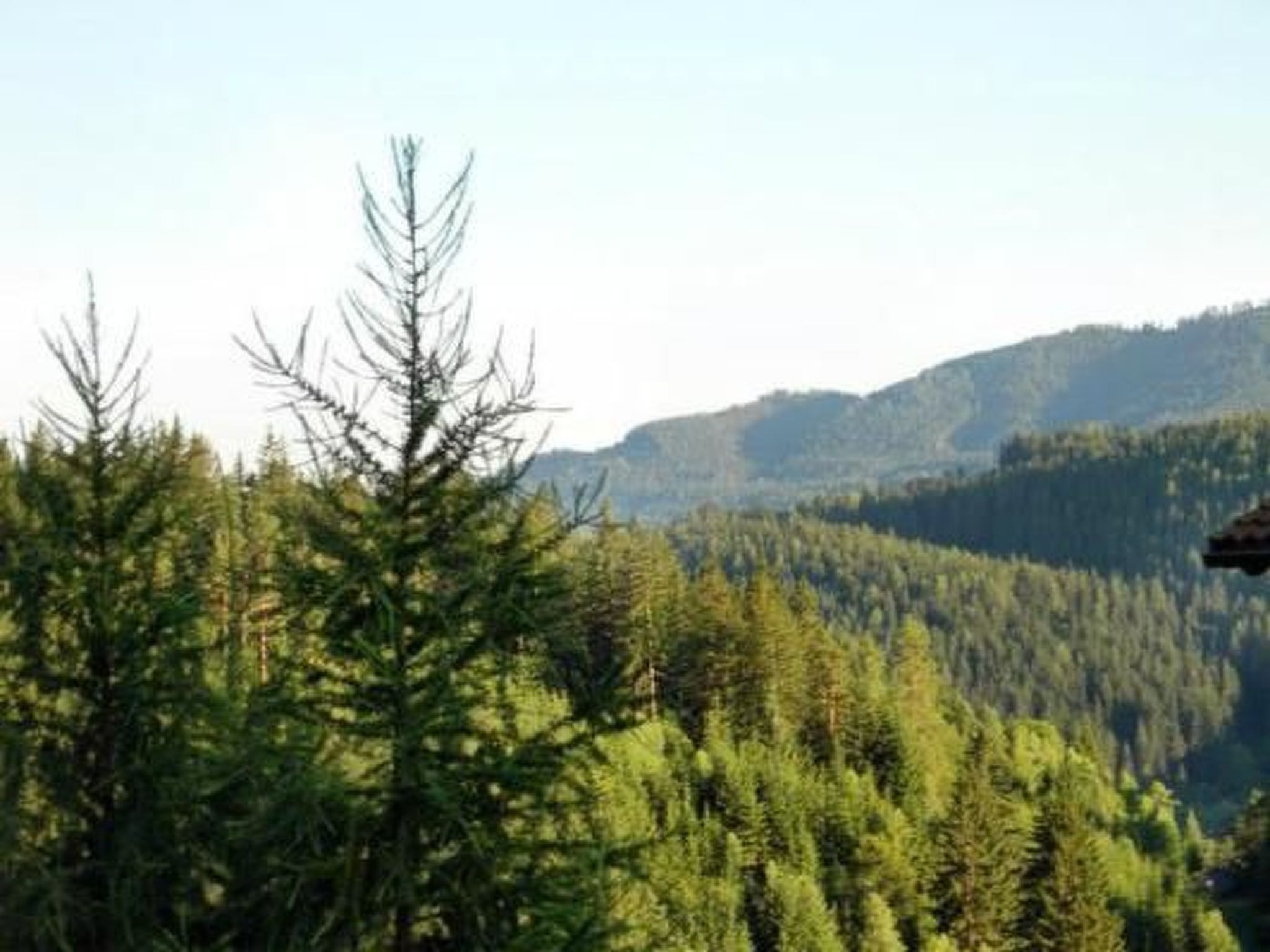 In Gnesau mit Grill-Drinnen