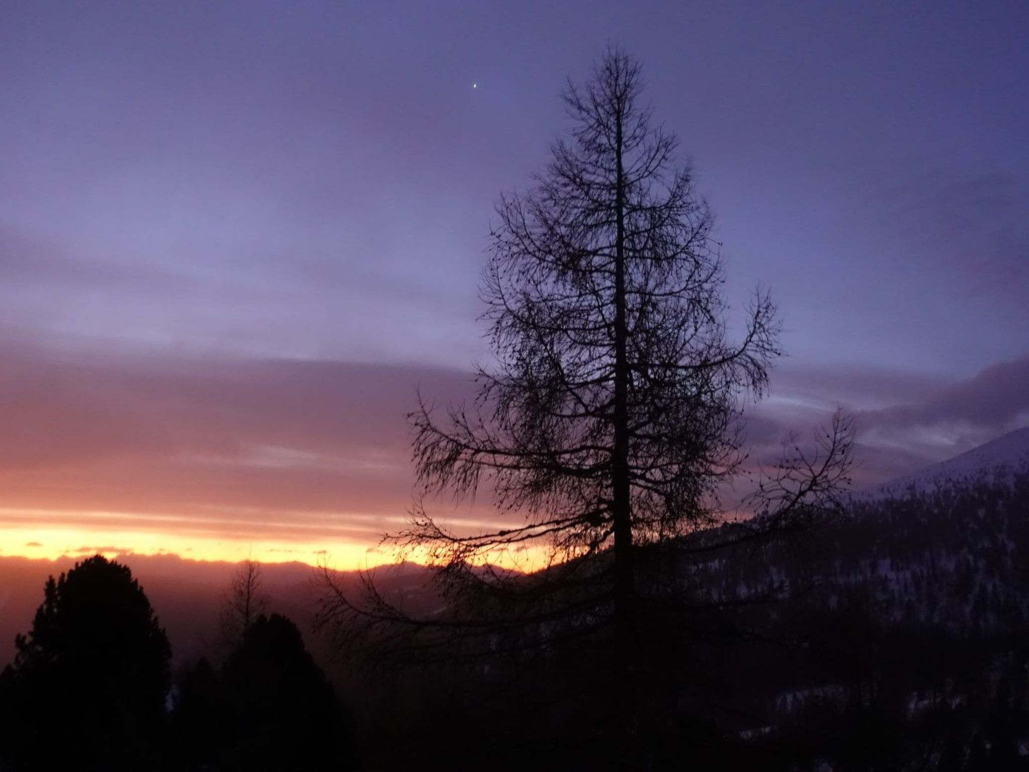 Heidi Chalets Falkertsee – Luxus für Familien & Wellnessurlauber-Dedans