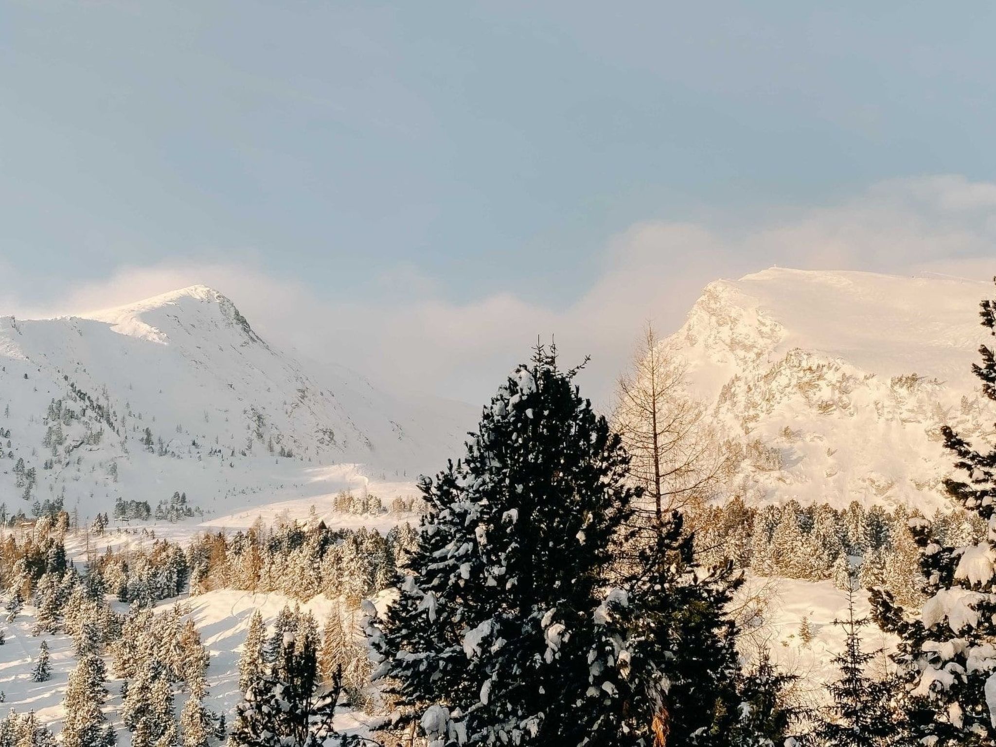 Heidi Chalets Falkertsee – Luxus für Familien & Wellnessurlauber-Dedans